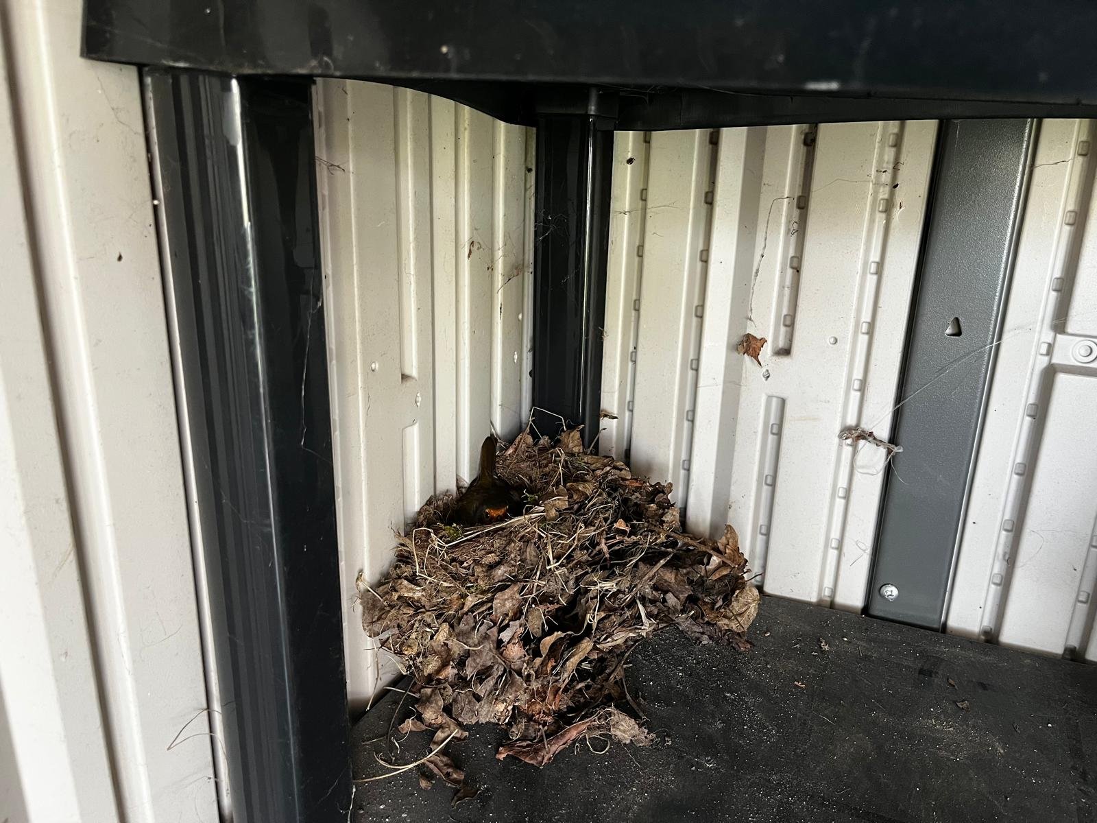 WhatsApp Image 2026-04-17 at 10.40.11 (1).jpeg