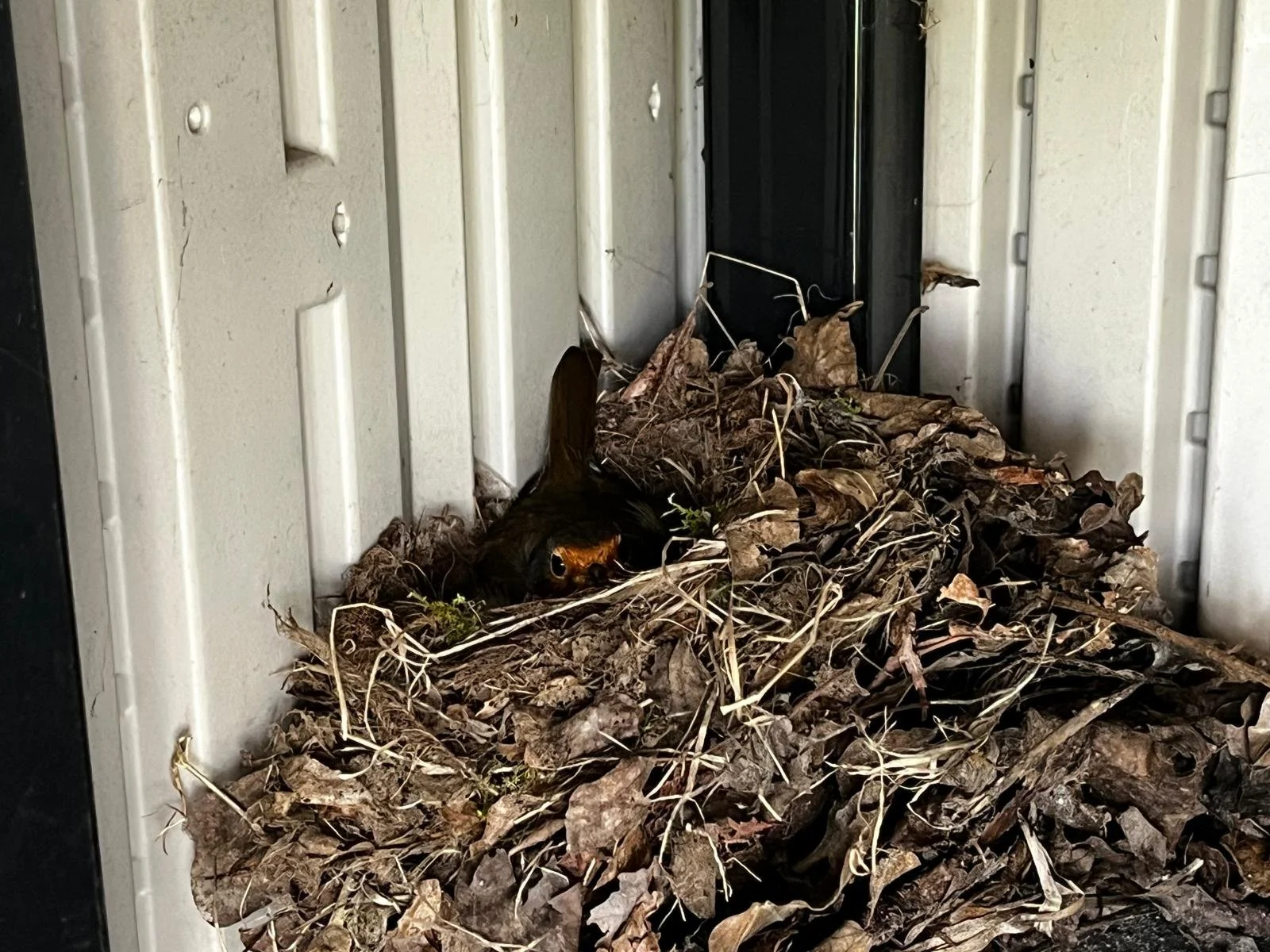 WhatsApp Image 2026-04-17 at 10.40.10.jpeg