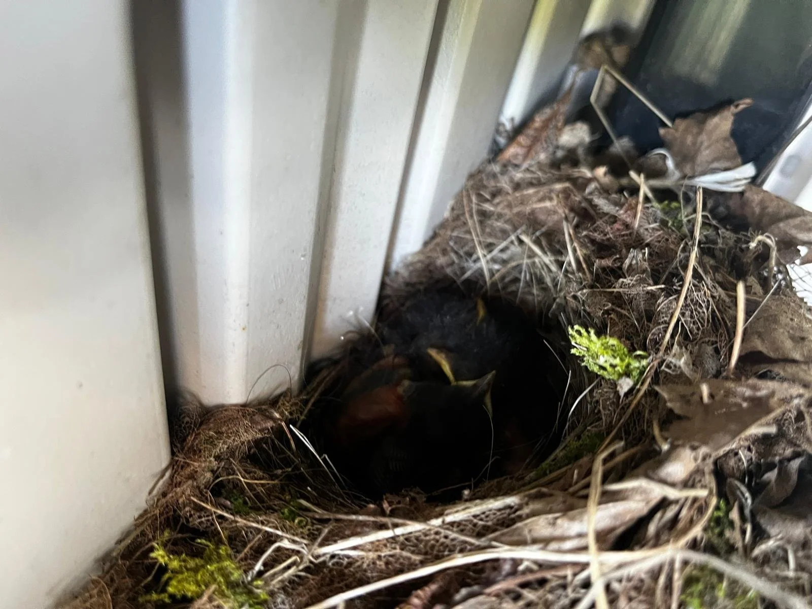 WhatsApp Image 2026-04-17 at 10.40.11.jpeg