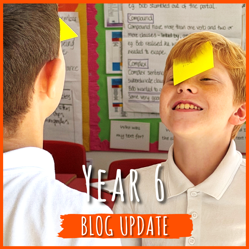 Year 6 blog: