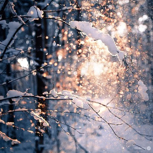 Hello Winter and Dry Skin