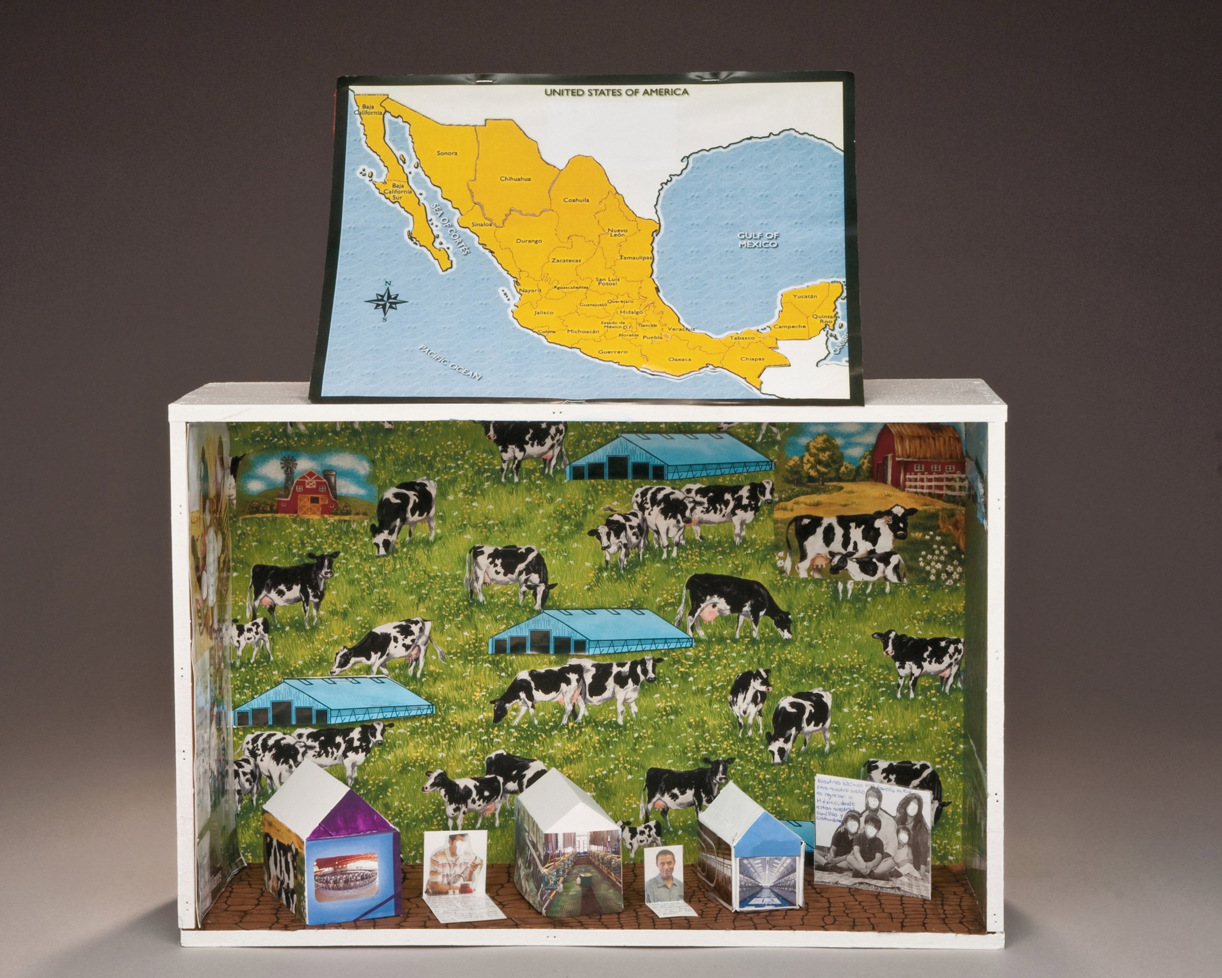 cows in a box Invisible Odysseys2.jpg