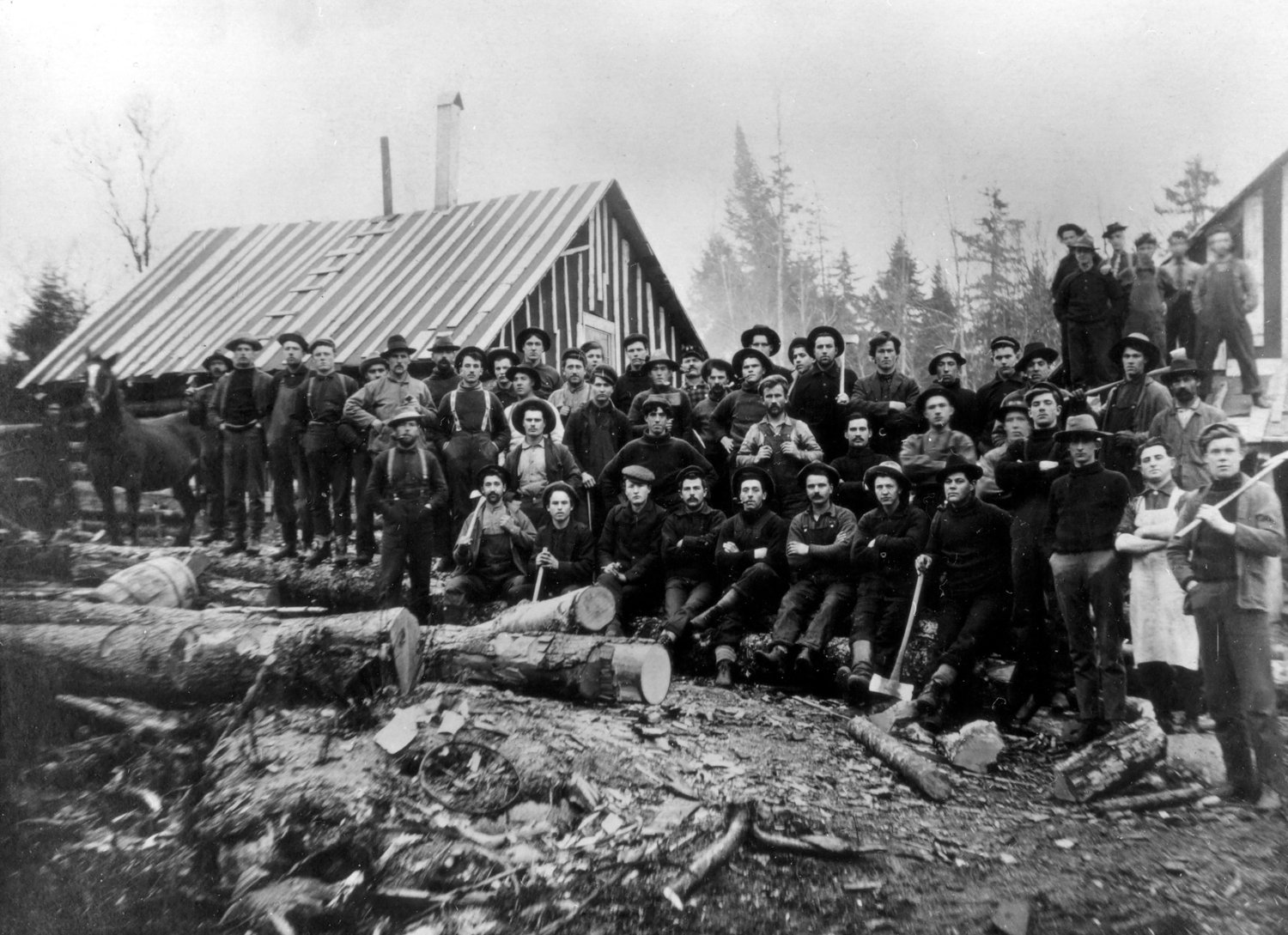 LS08691_000-Logging Camp.jpg