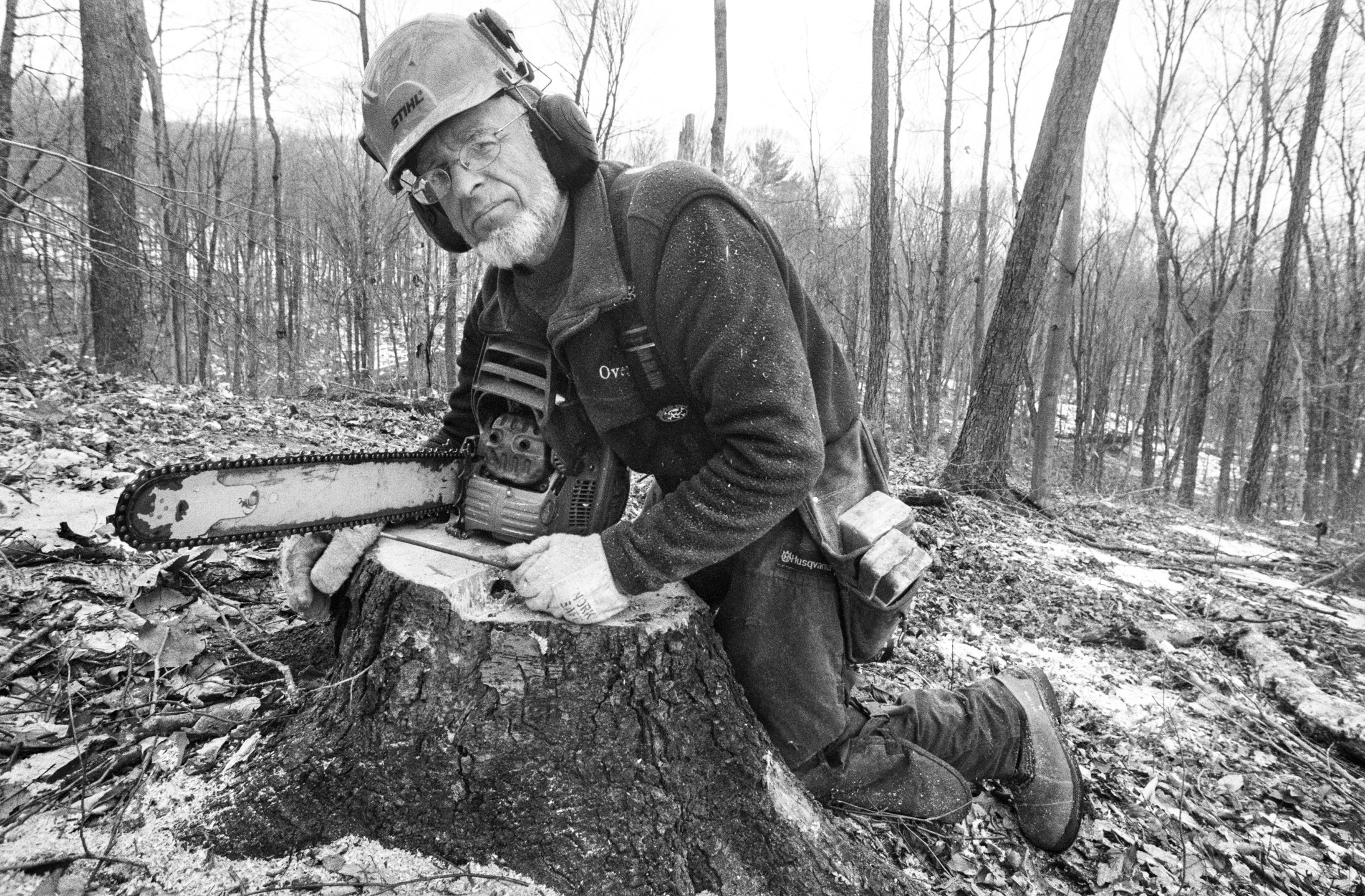 Portraits of a Forest: Men and Machine