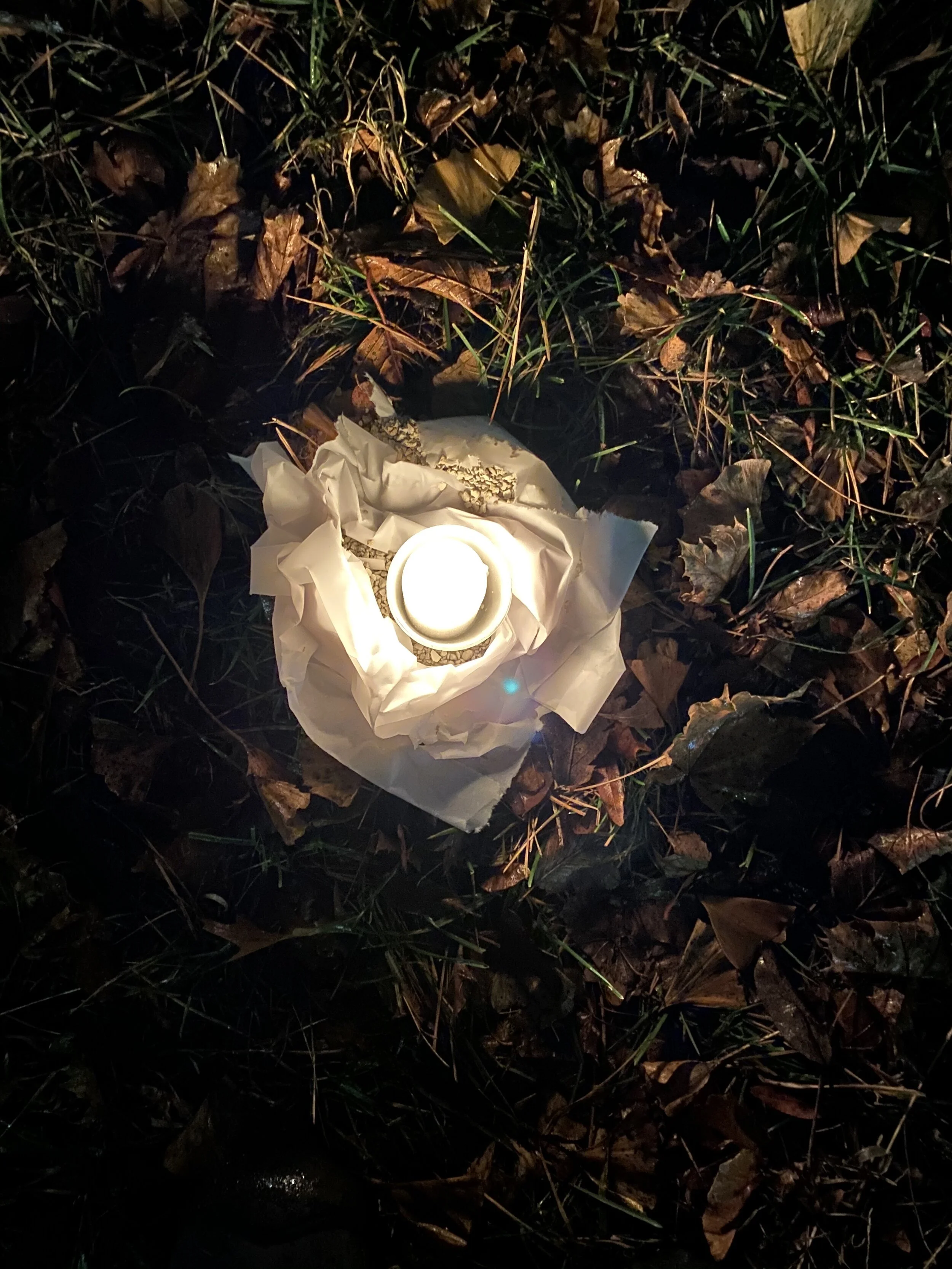 Winter lights at FCC