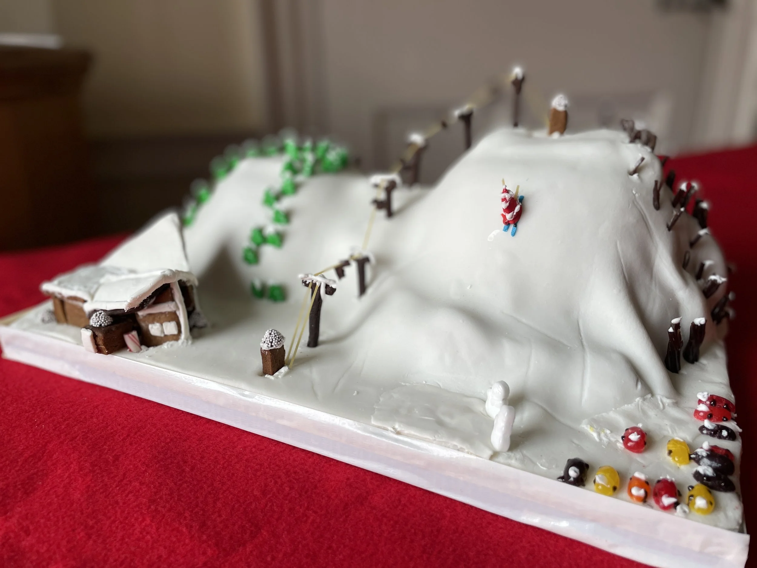 Mary Douglas Gingerbread 2022 00004.jpg