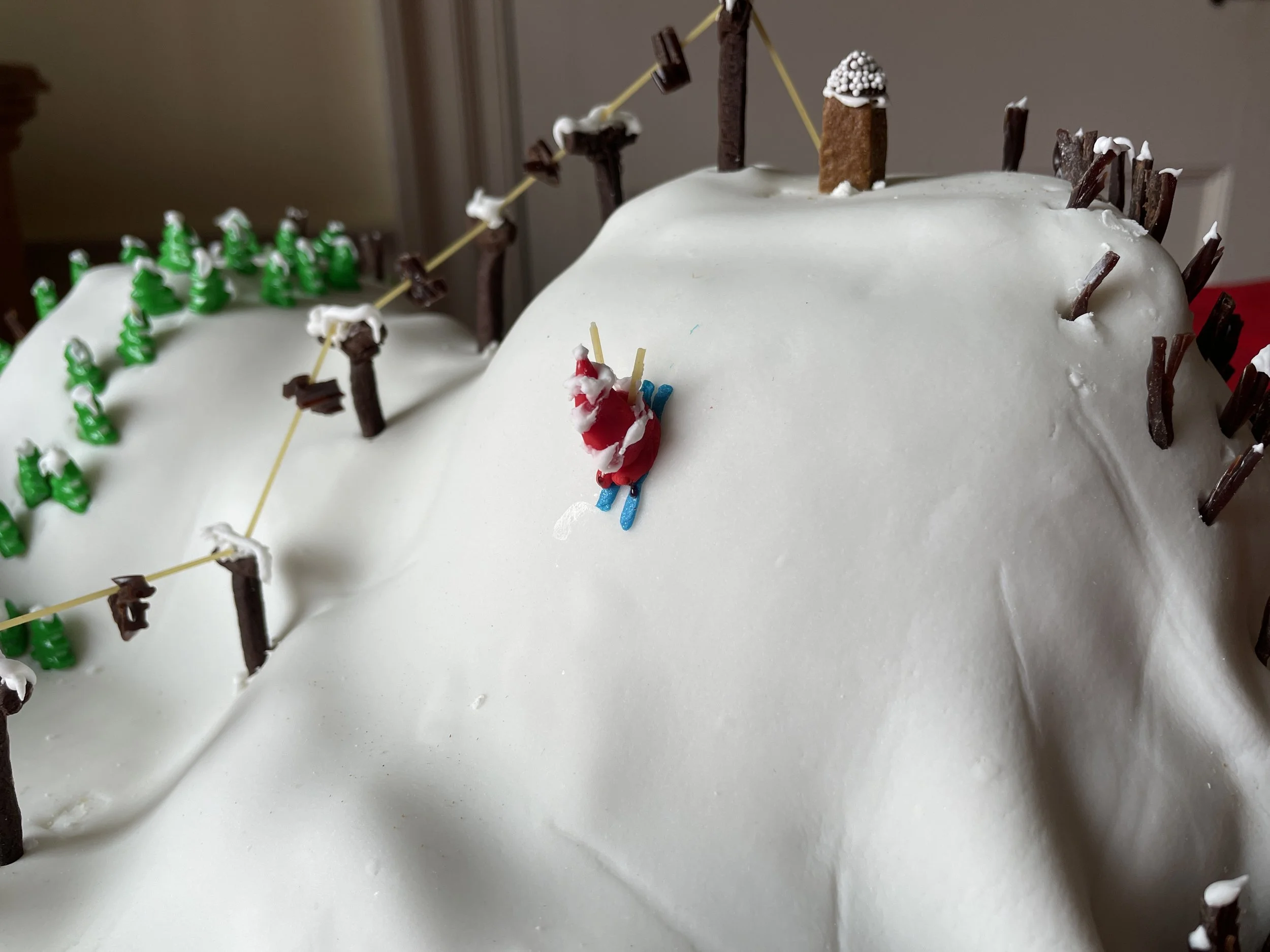 Mary Douglas Gingerbread 2022 00002.JPG