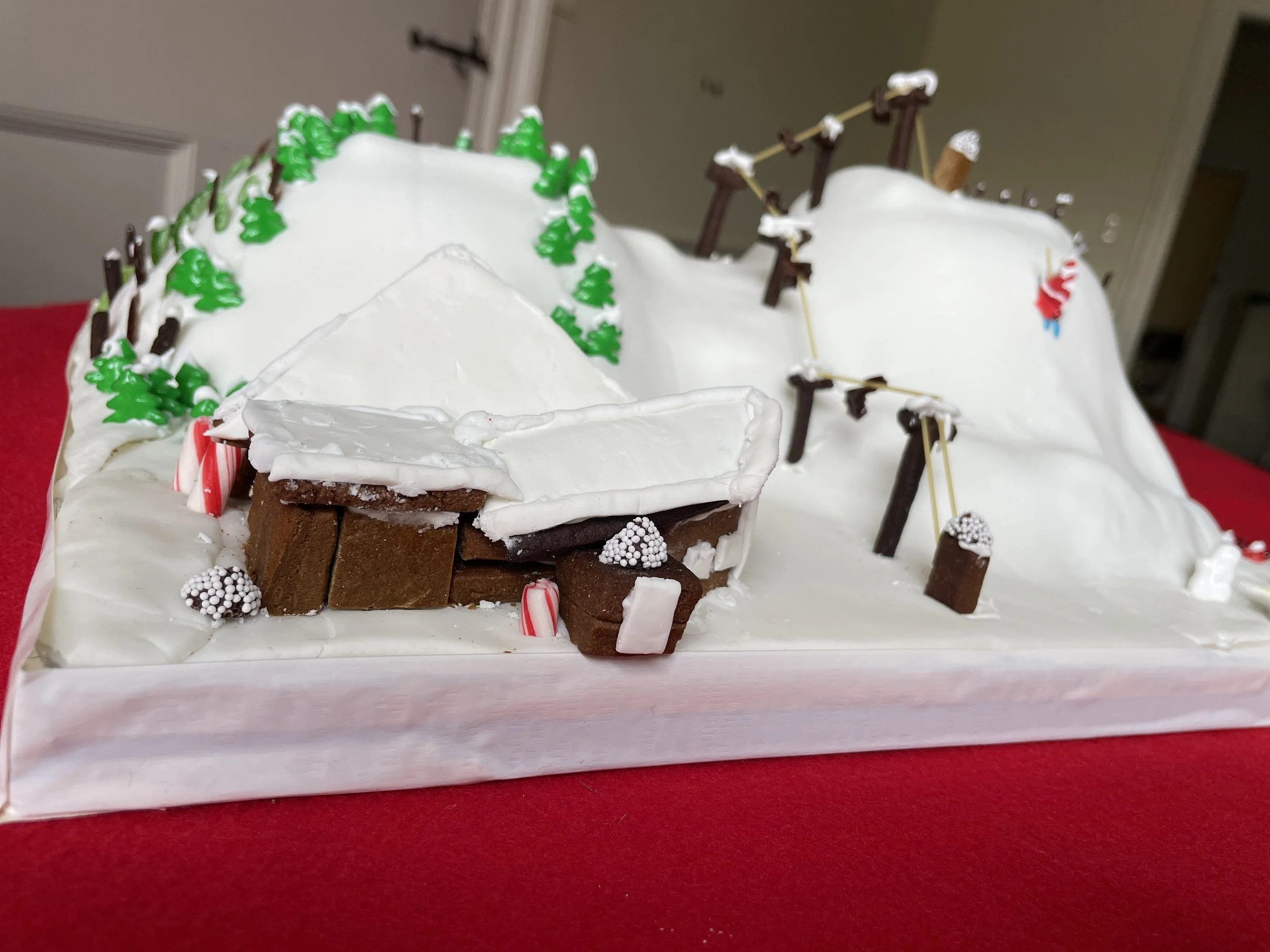 Mary Douglas Gingerbread 2022 00003.JPG