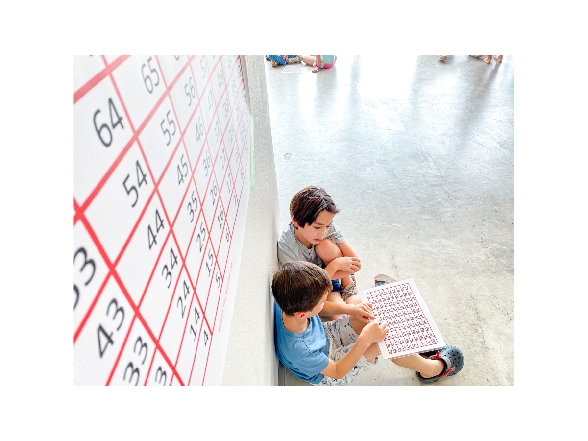 mathematicians-activity-100chart.png