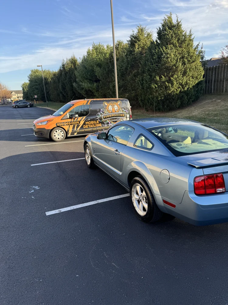 Blue-gray Ford Mustang beside the Tigershine van