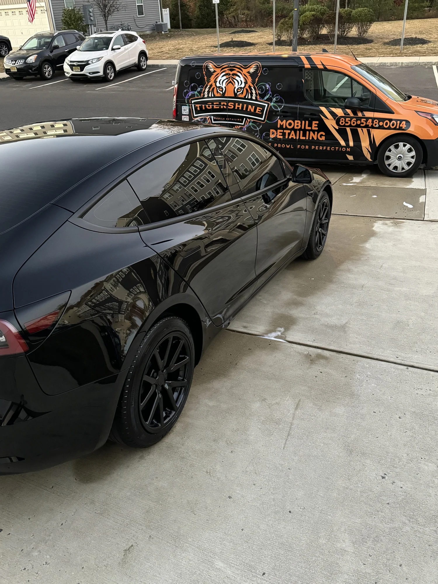 Glossy black Tesla with the Tigershine van behind it