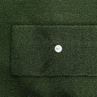 sigpro softy hitting strip overhead