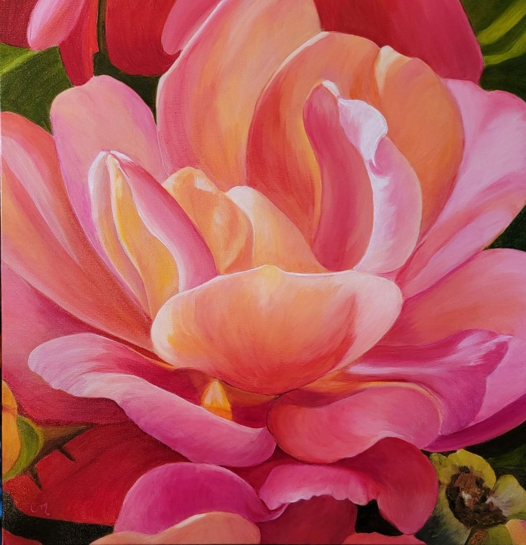 Peachy Pink Rose
