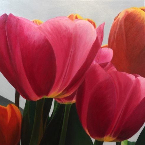 Tulips
