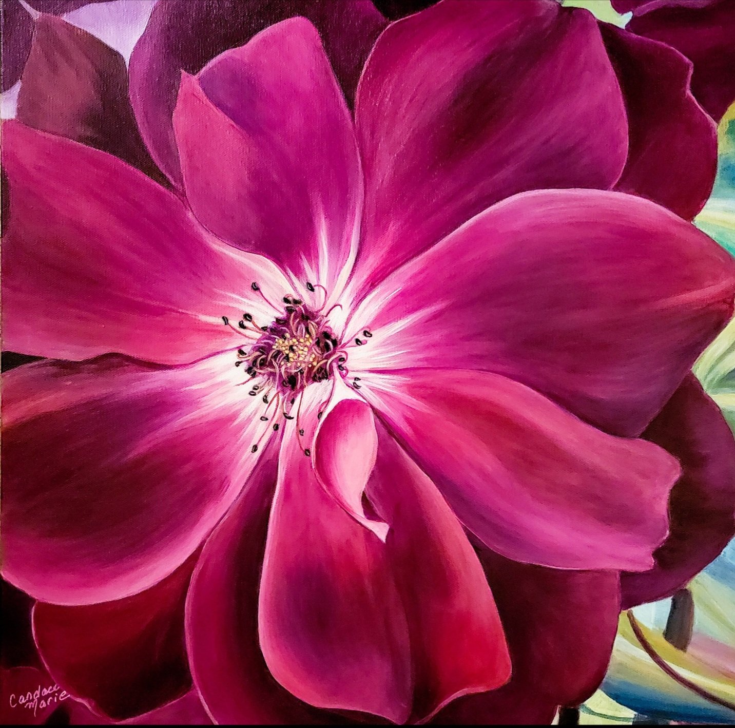 Magenta Rose