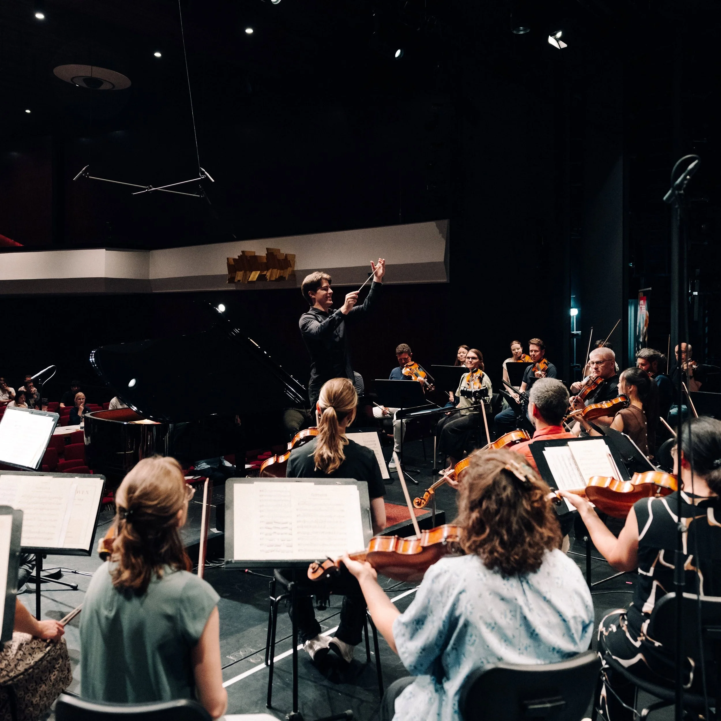 Wimbledon Symphony Orchestra Concert