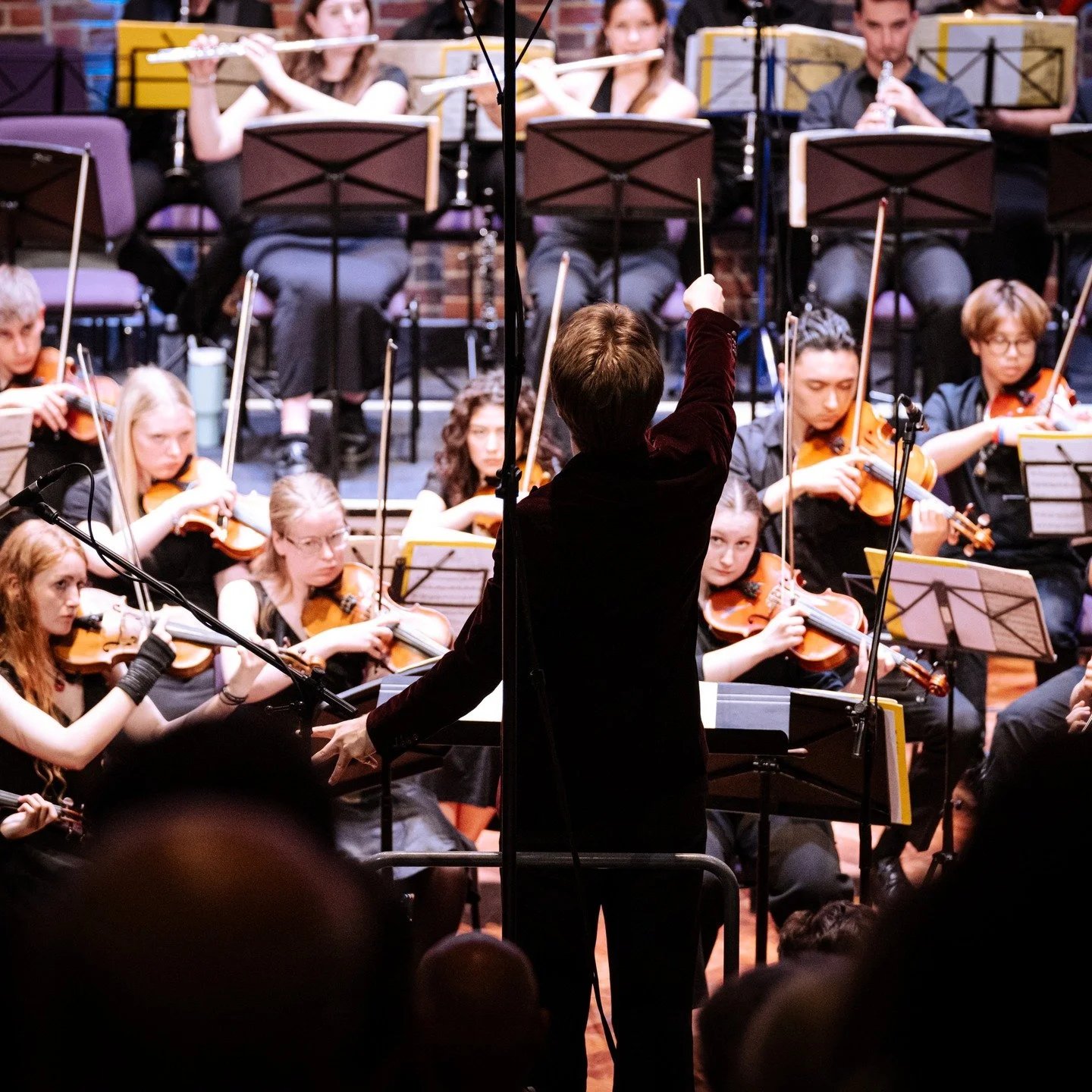 Southampton University Symphony Orchestra Winter Concert