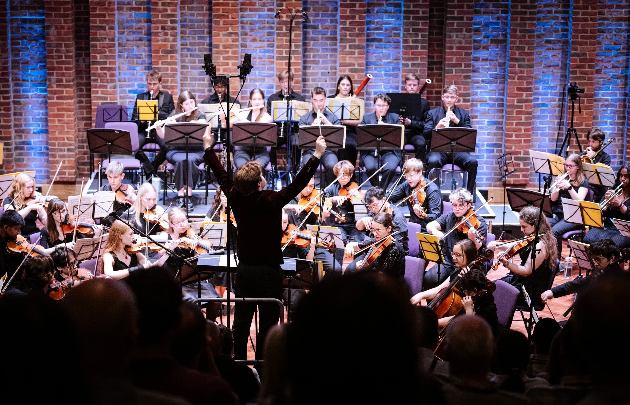 Southampton University Symphony Orchestra Easter Concert
