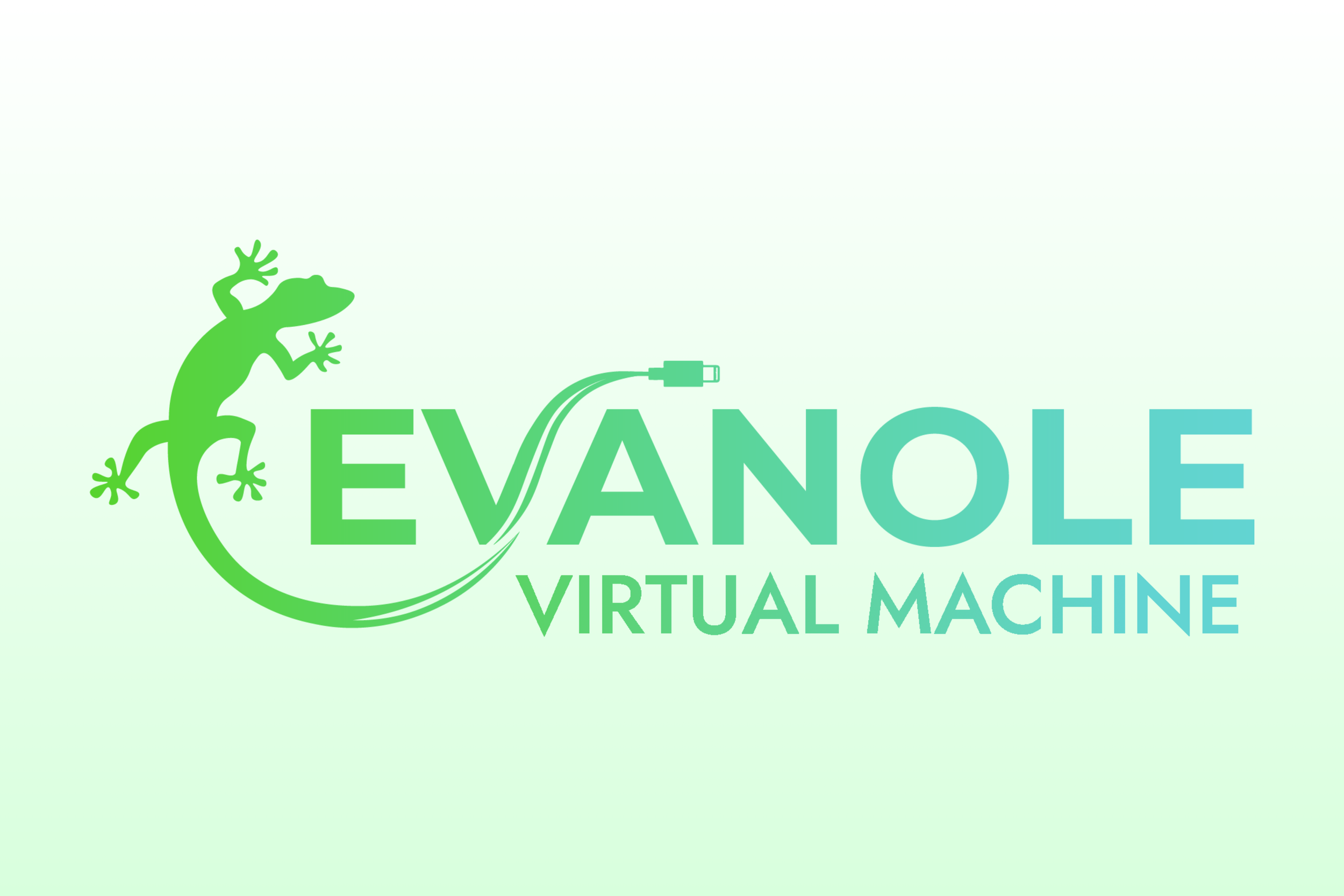 Checking out Evanole VM v20260603: Introducing EVM!