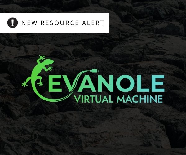 Announcing Evanole Virtual Machine