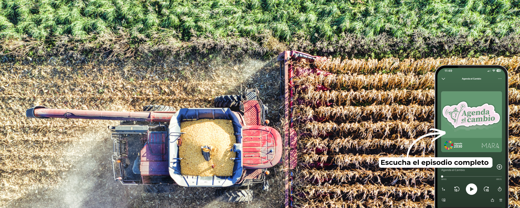 El sobregiro del planeta: cuando la demanda excede lo que la Tierra puede dar