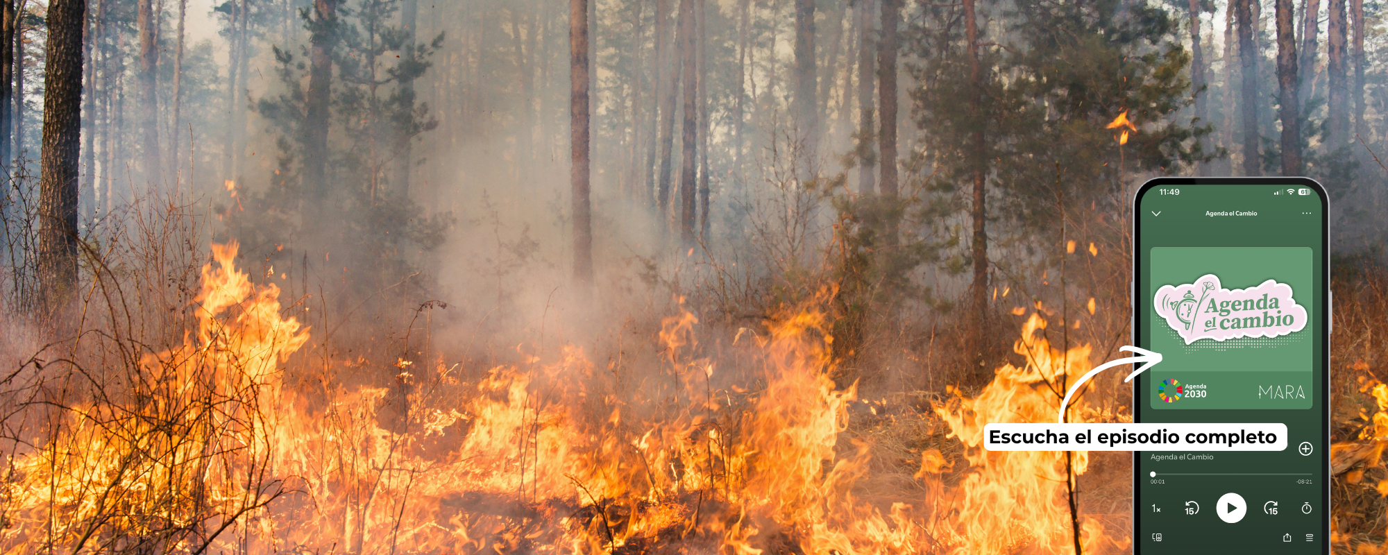Incendios forestales y cambio climático: Chile en llamas y el futuro del fuego