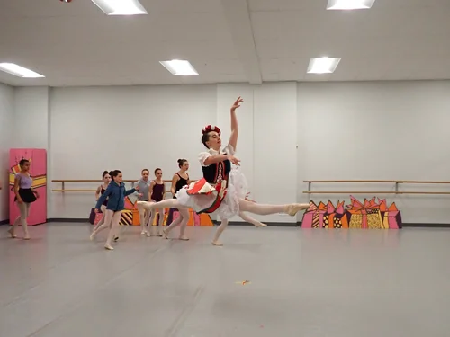 Stapleton School of the Performing Arts