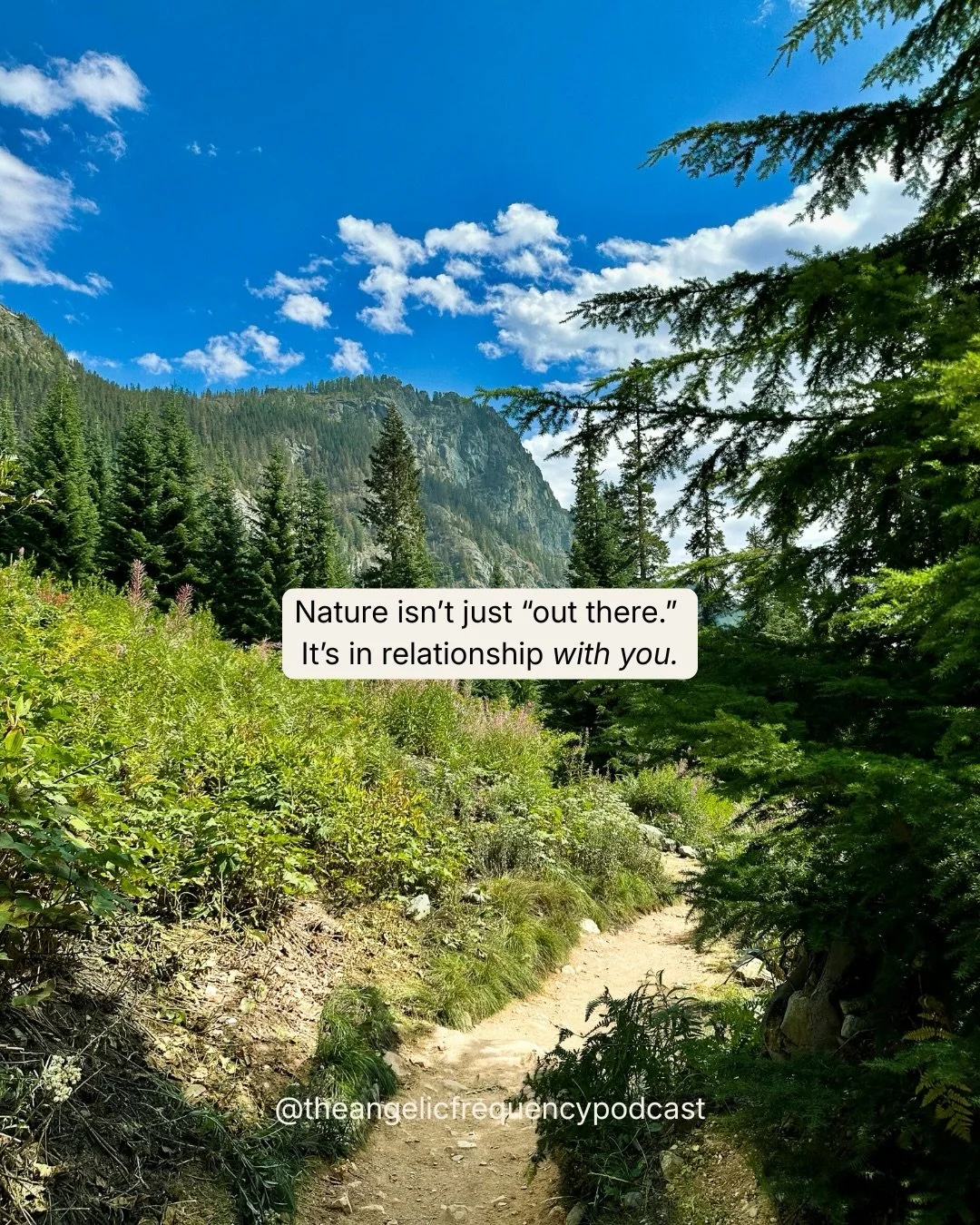 One of the most powerful moments from Episode 51 with @deep.root.connections was the reminder that the Earth isn&rsquo;t asking us to fix everything. She&rsquo;s asking for relationship.

Reciprocity doesn&rsquo;t have to be grand or performative. It