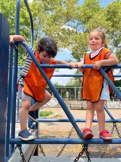 Navigating Developmental Leaps