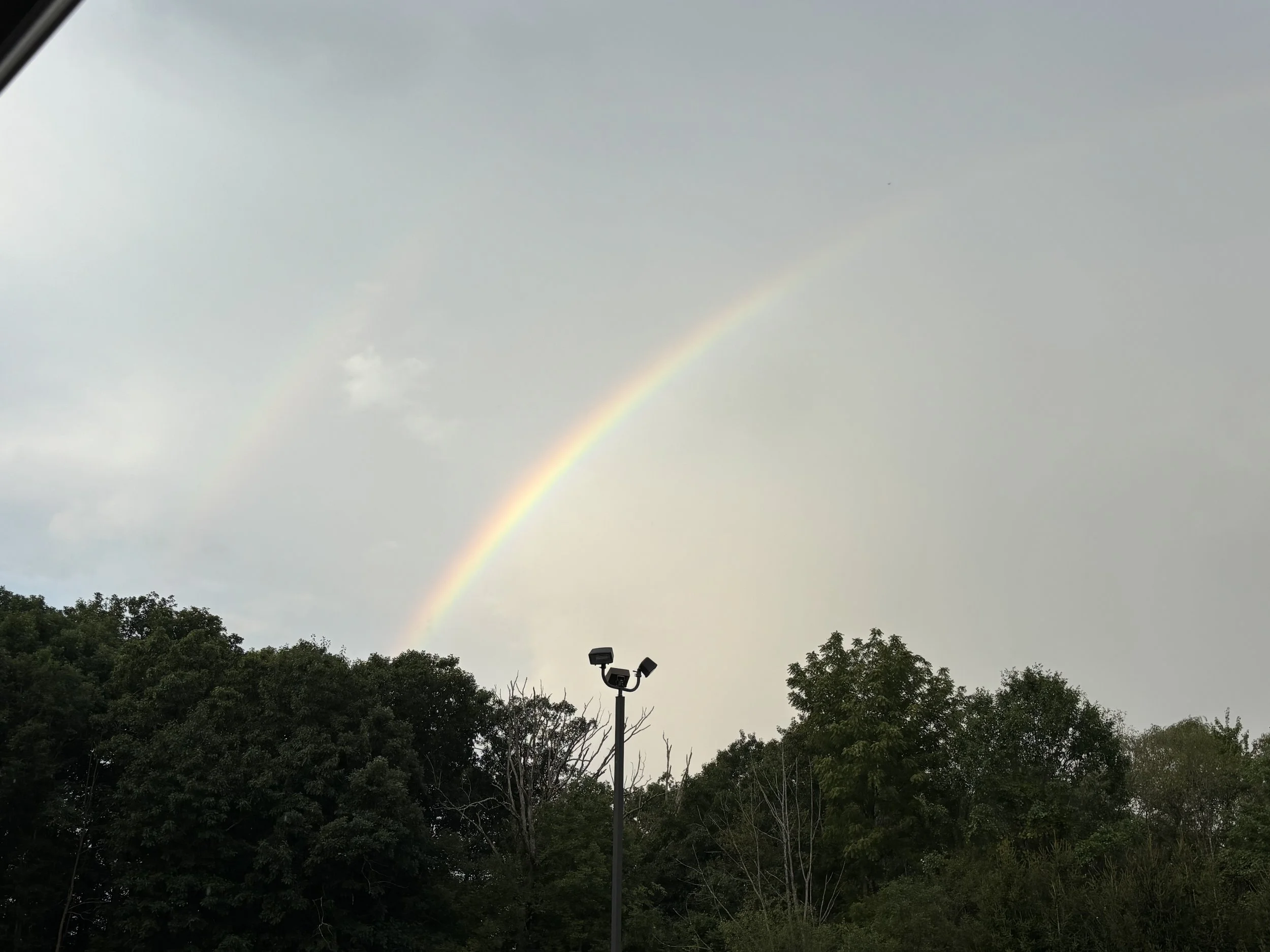 IMG_4723.JPEG