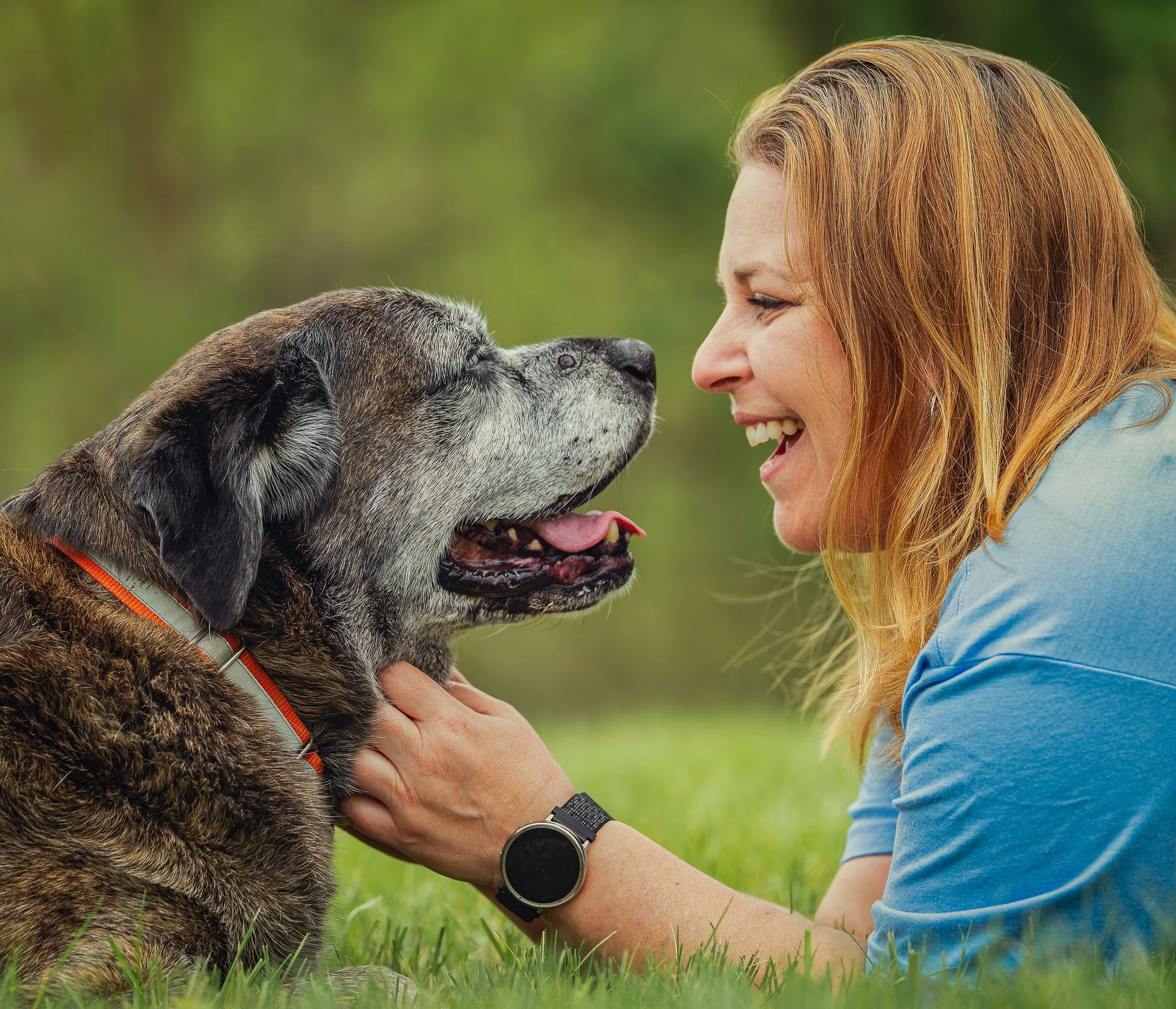 happy senior dog