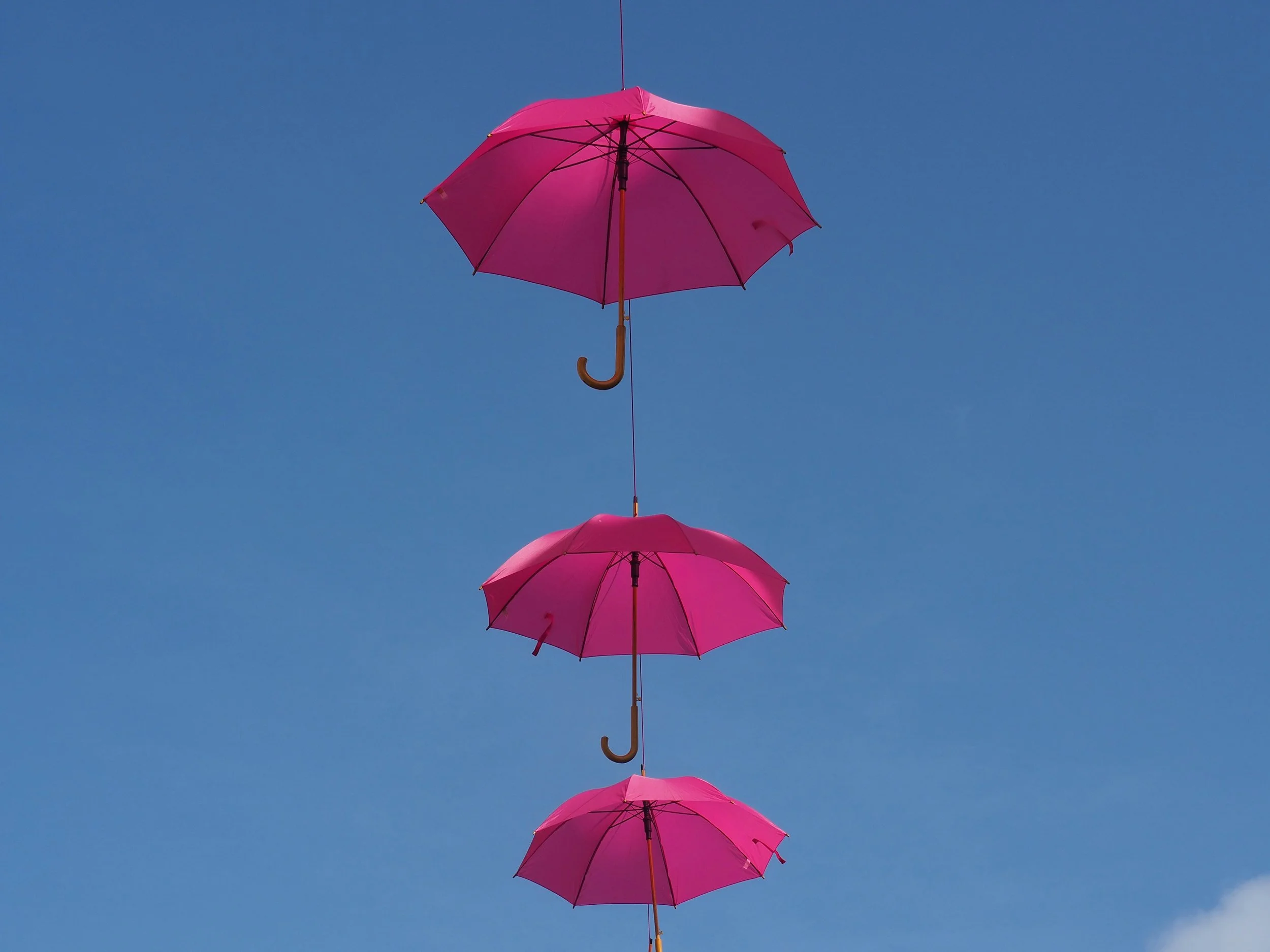 The JSL shield: A 7-point checklist to protect your business
