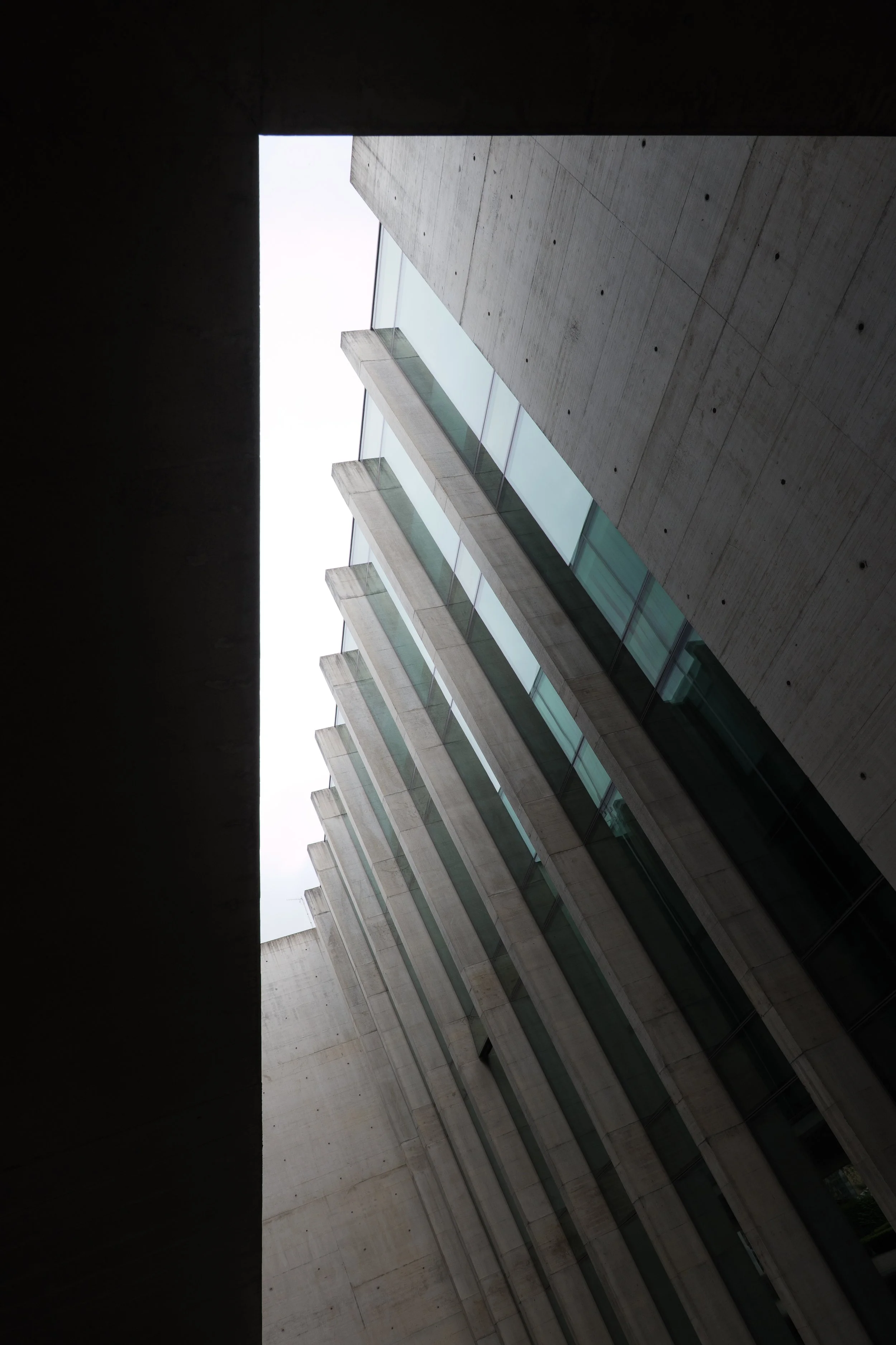 P1212776.jpg