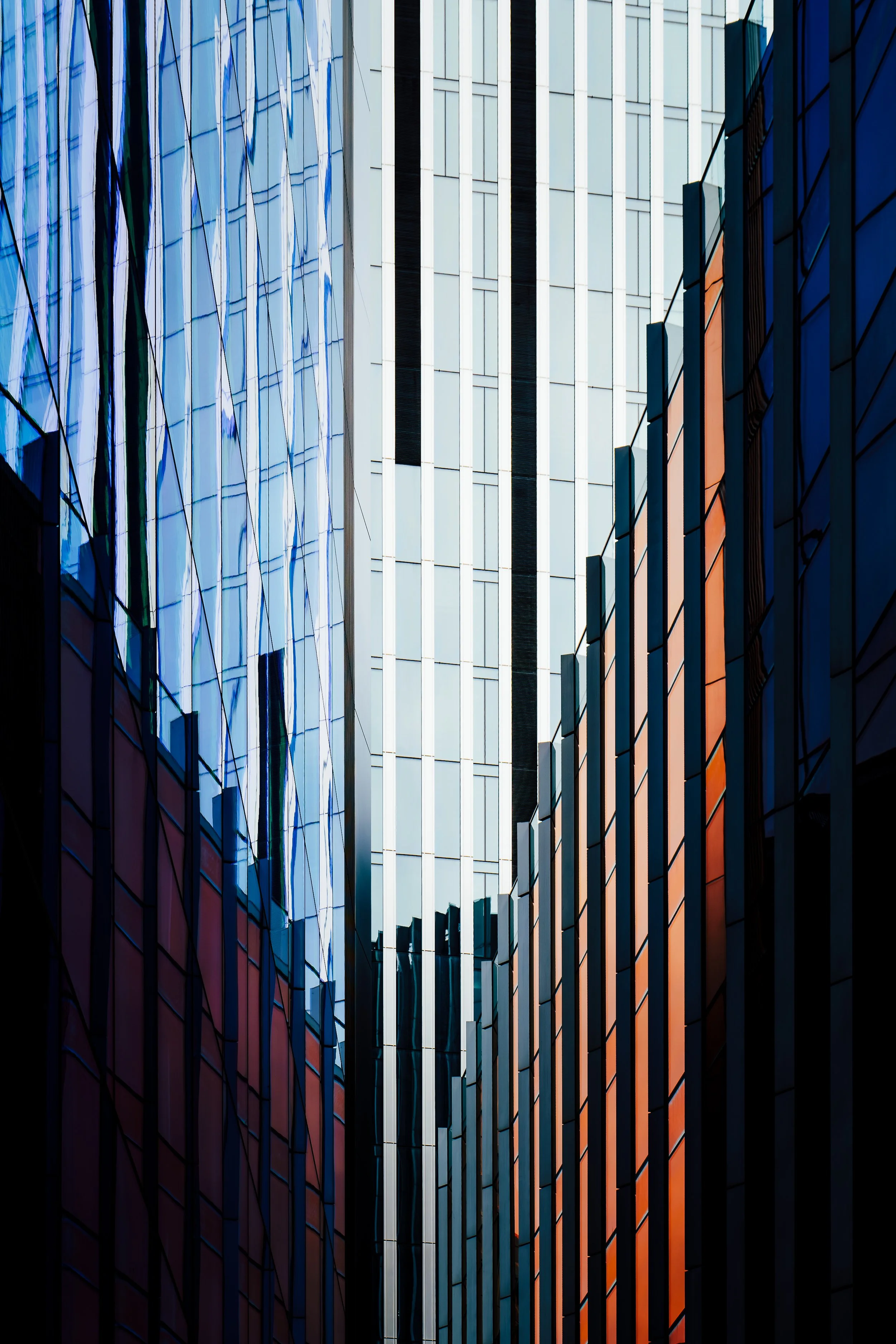 P1071214-Enhanced-NR.jpg