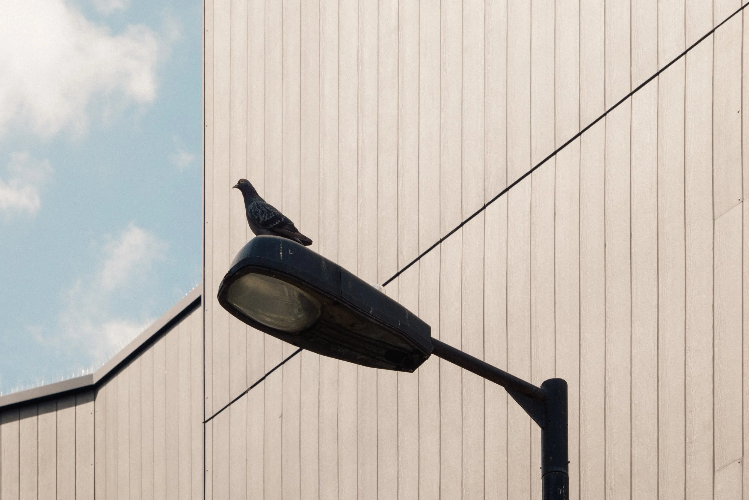 Lookout.jpg