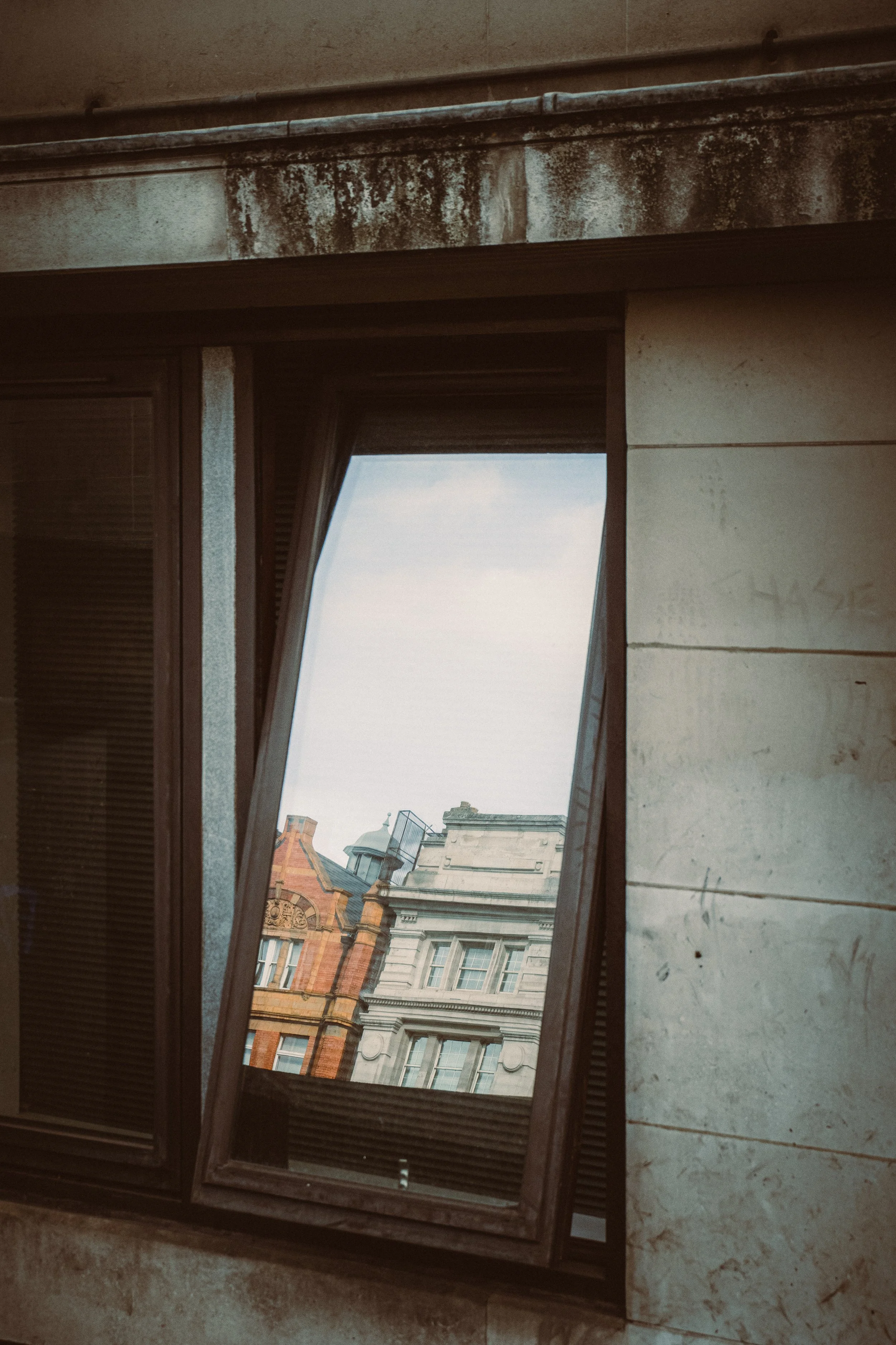 P1071081.jpg