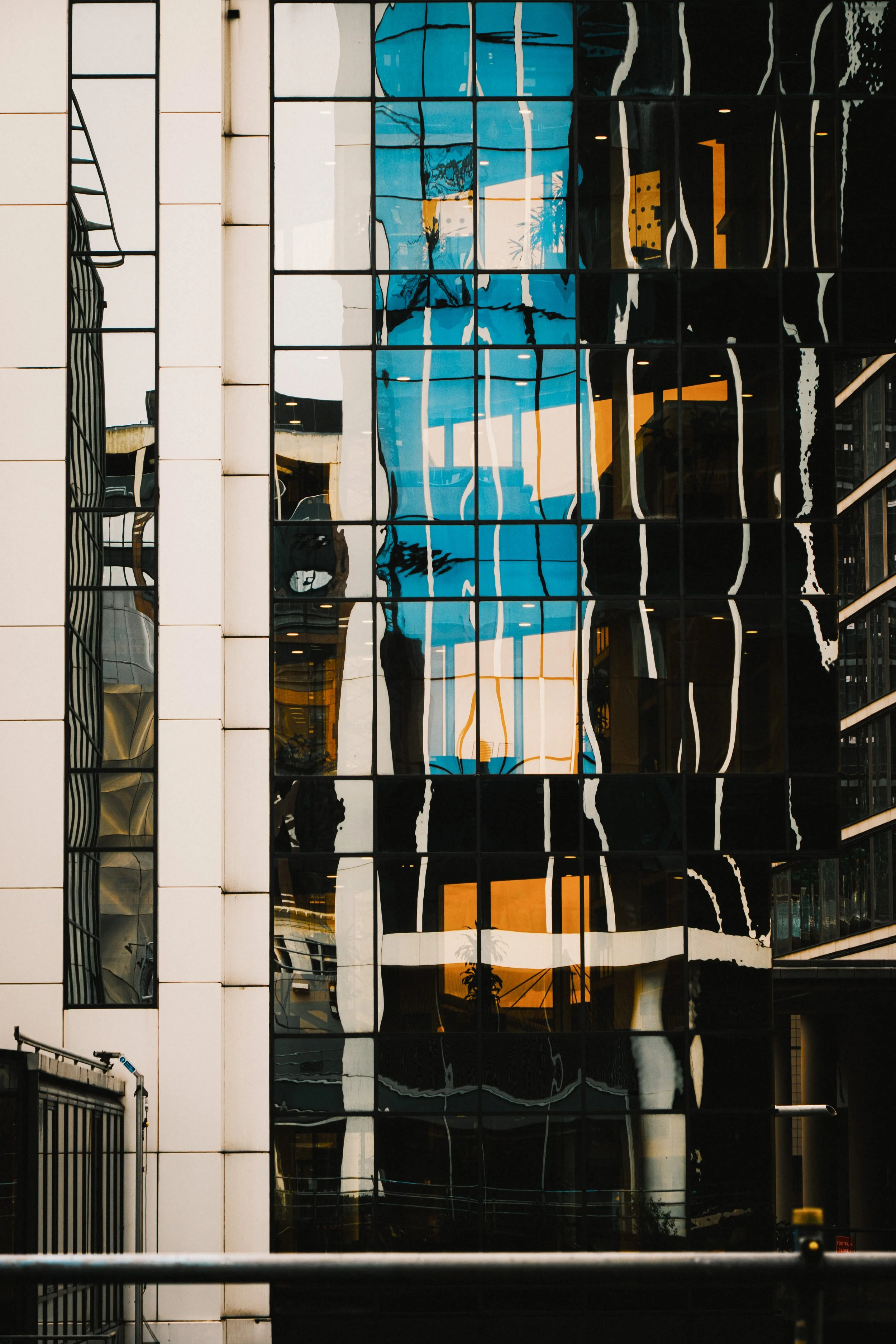Reflection Study.jpg