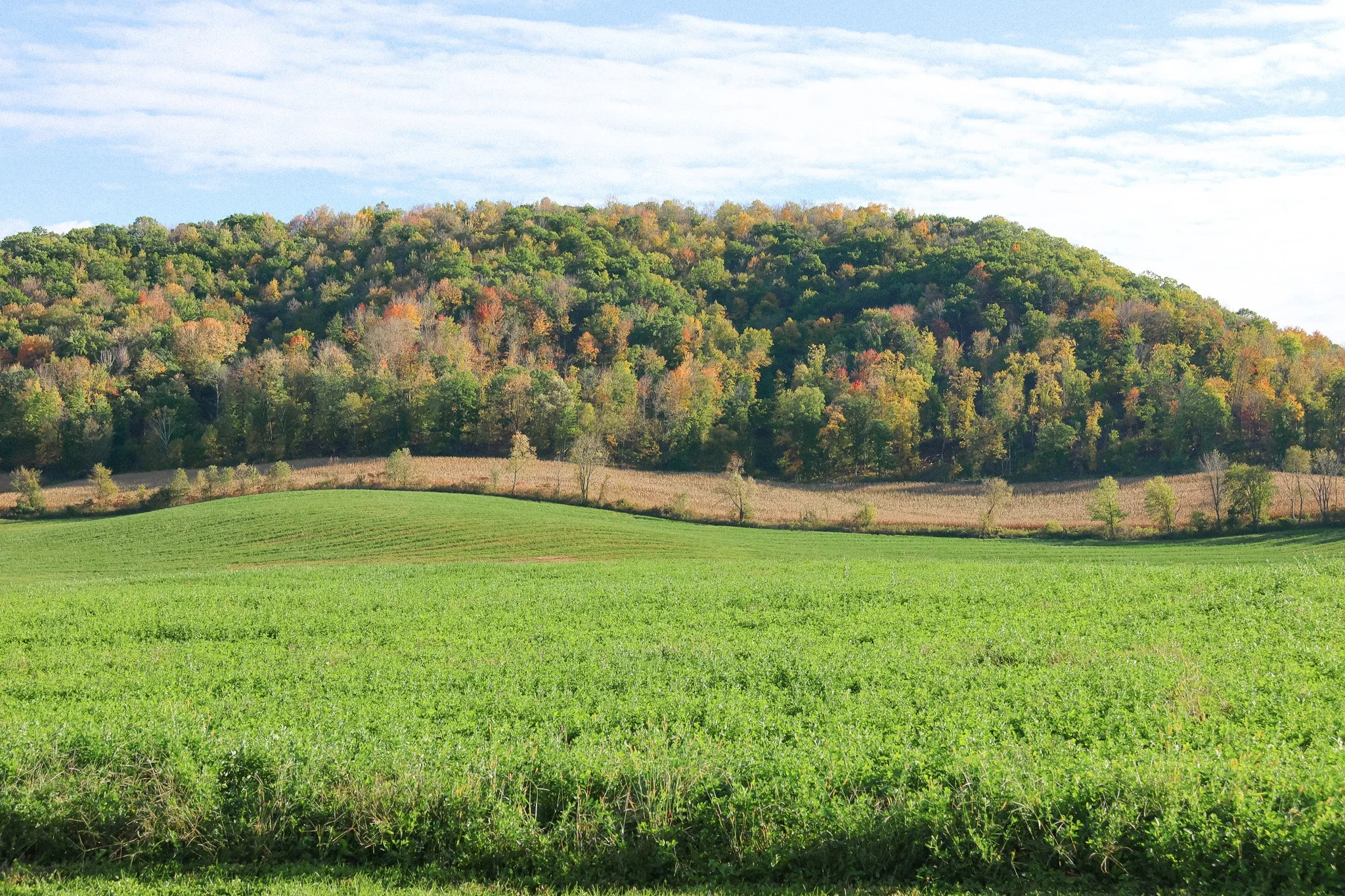 Stone Barn Pizza Restaurant