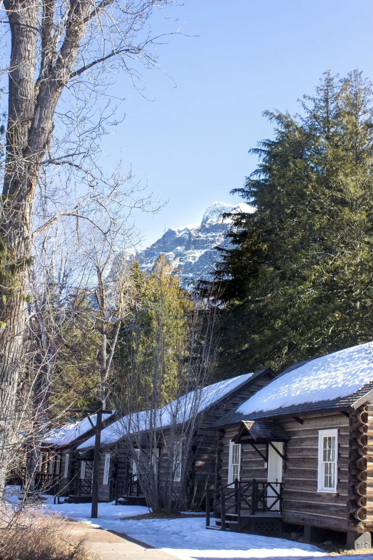 Montana New Property Tax Law.