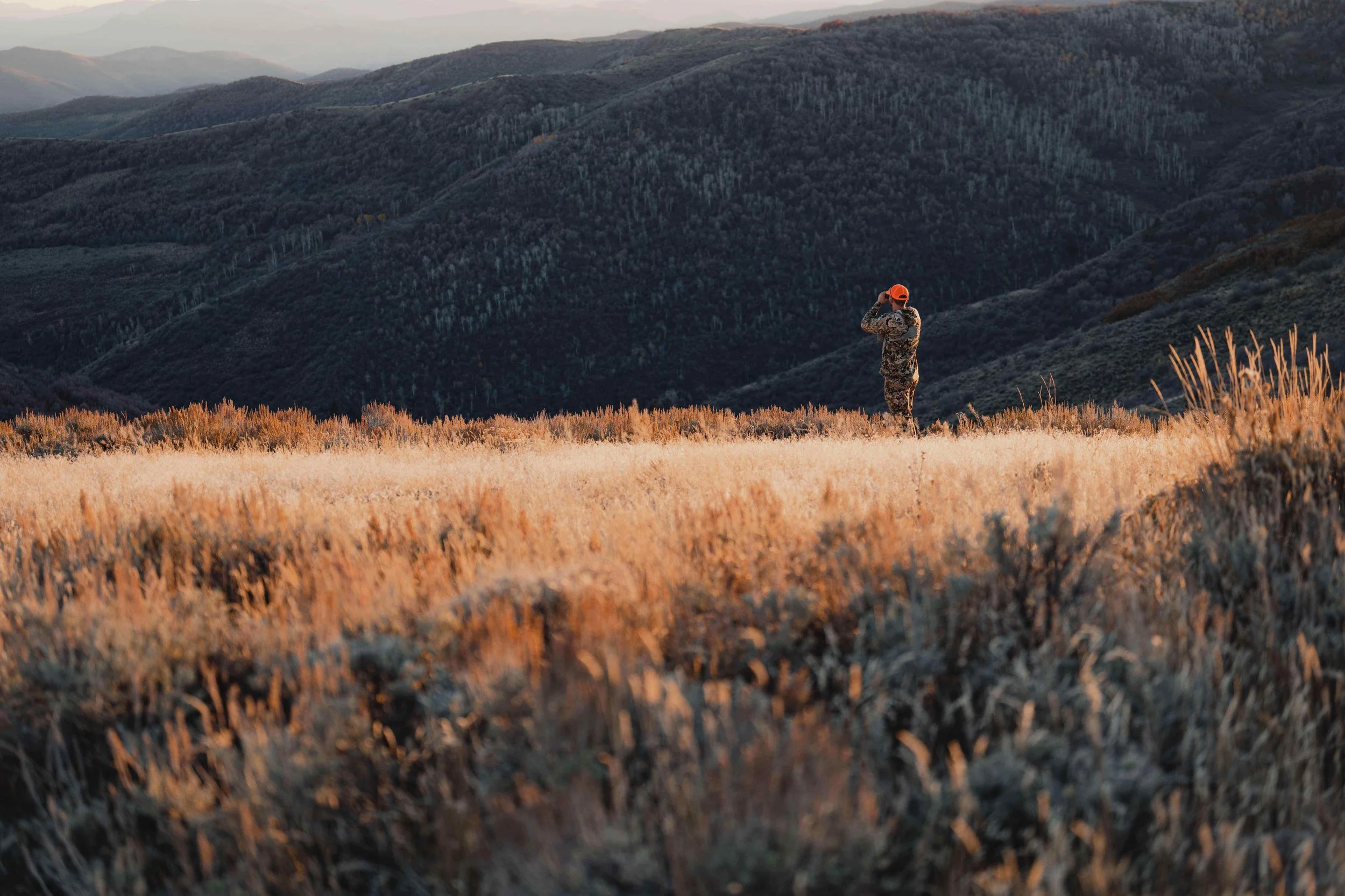 Off-grid reality.