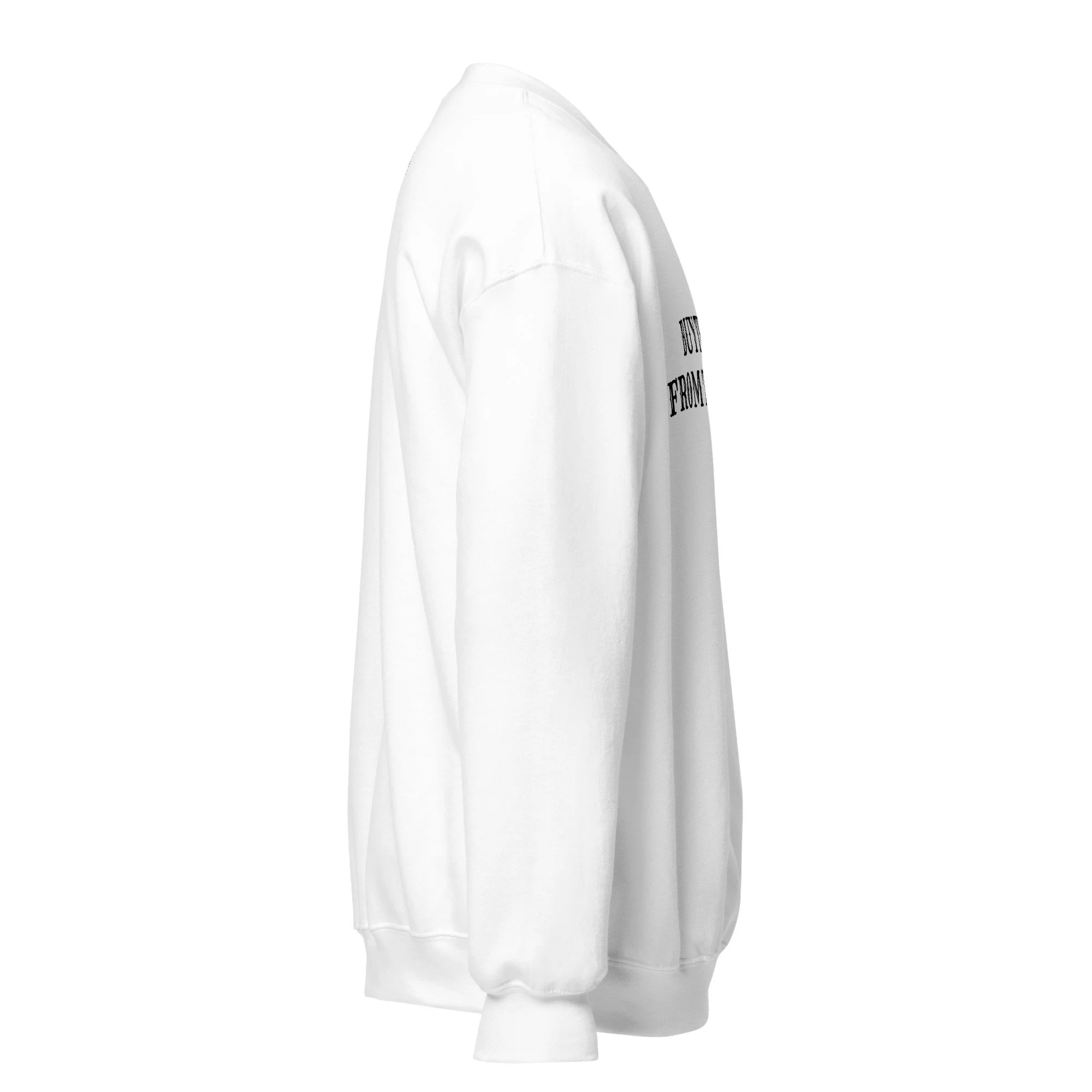 unisex-crew-neck-sweatshirt-white-right-6561431d8f4b8.jpg