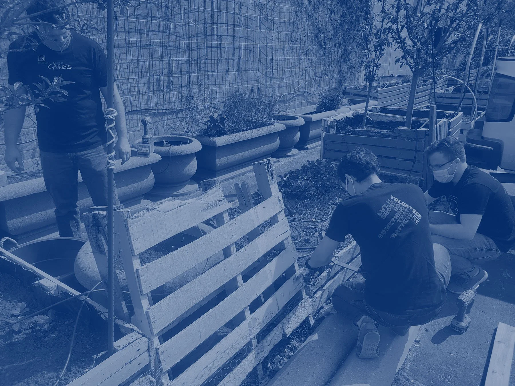group-volunteers-2.jpg