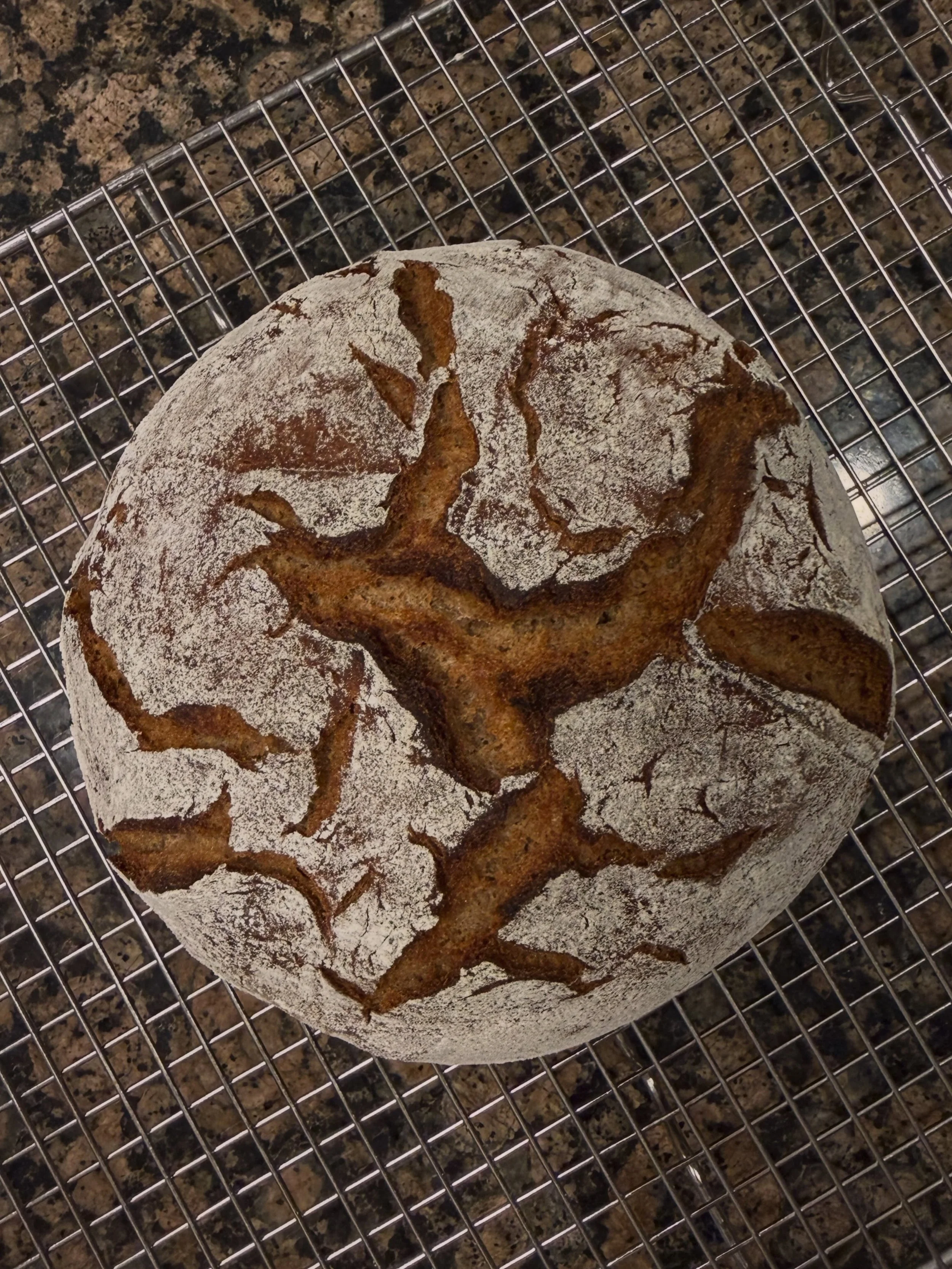 Inspired by that viral $60 rye loaf ❤️ Moisture, nutty, &amp; flavorful. 😋

75% medium rye &middot; 25% bread flour &middot; two-stage rye sour &middot; rye scald &middot; naturally leavened 

#rye #sourdough #ryebread #ryesourdough