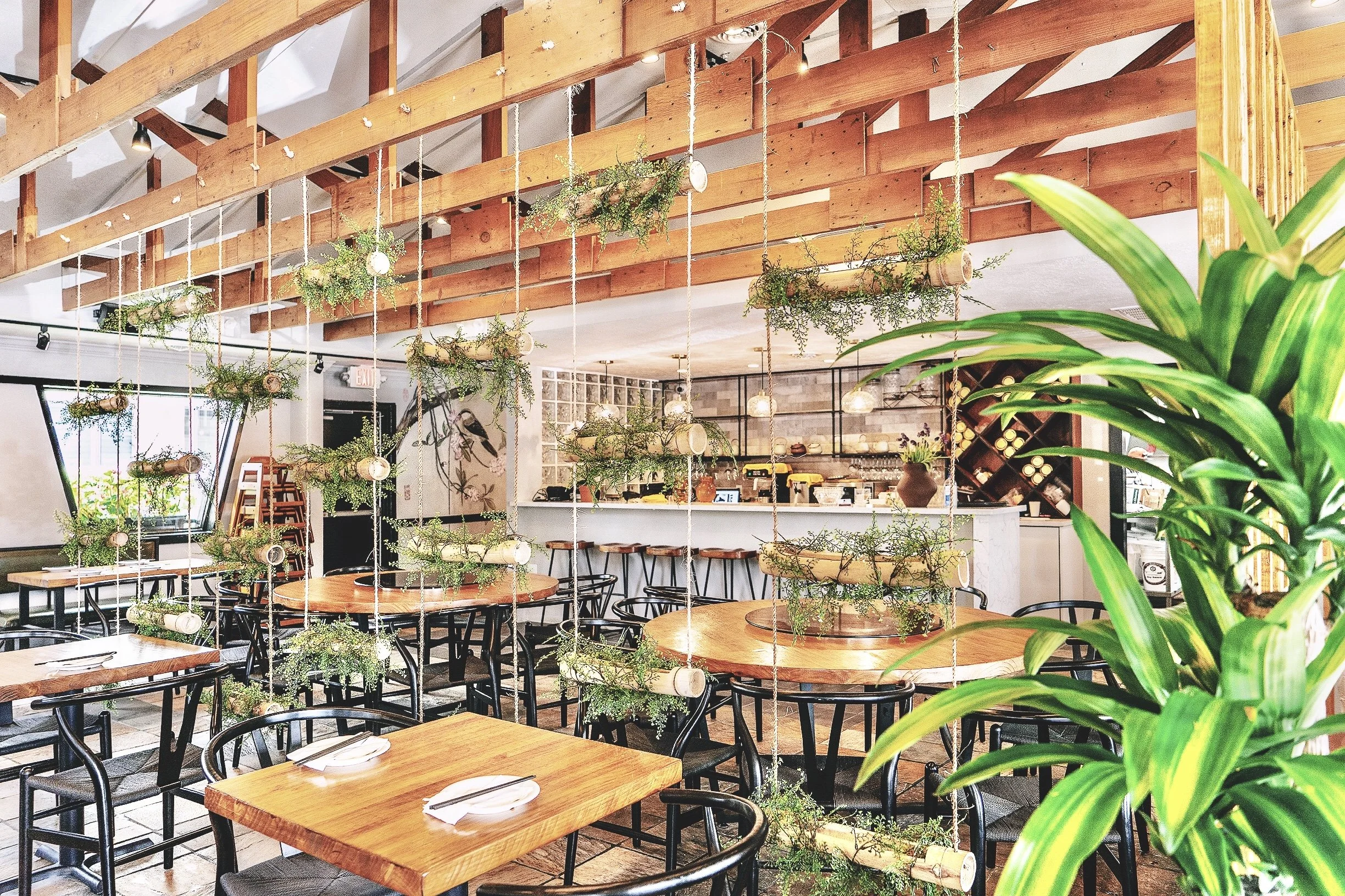 Modern restaurant  interior design green plant