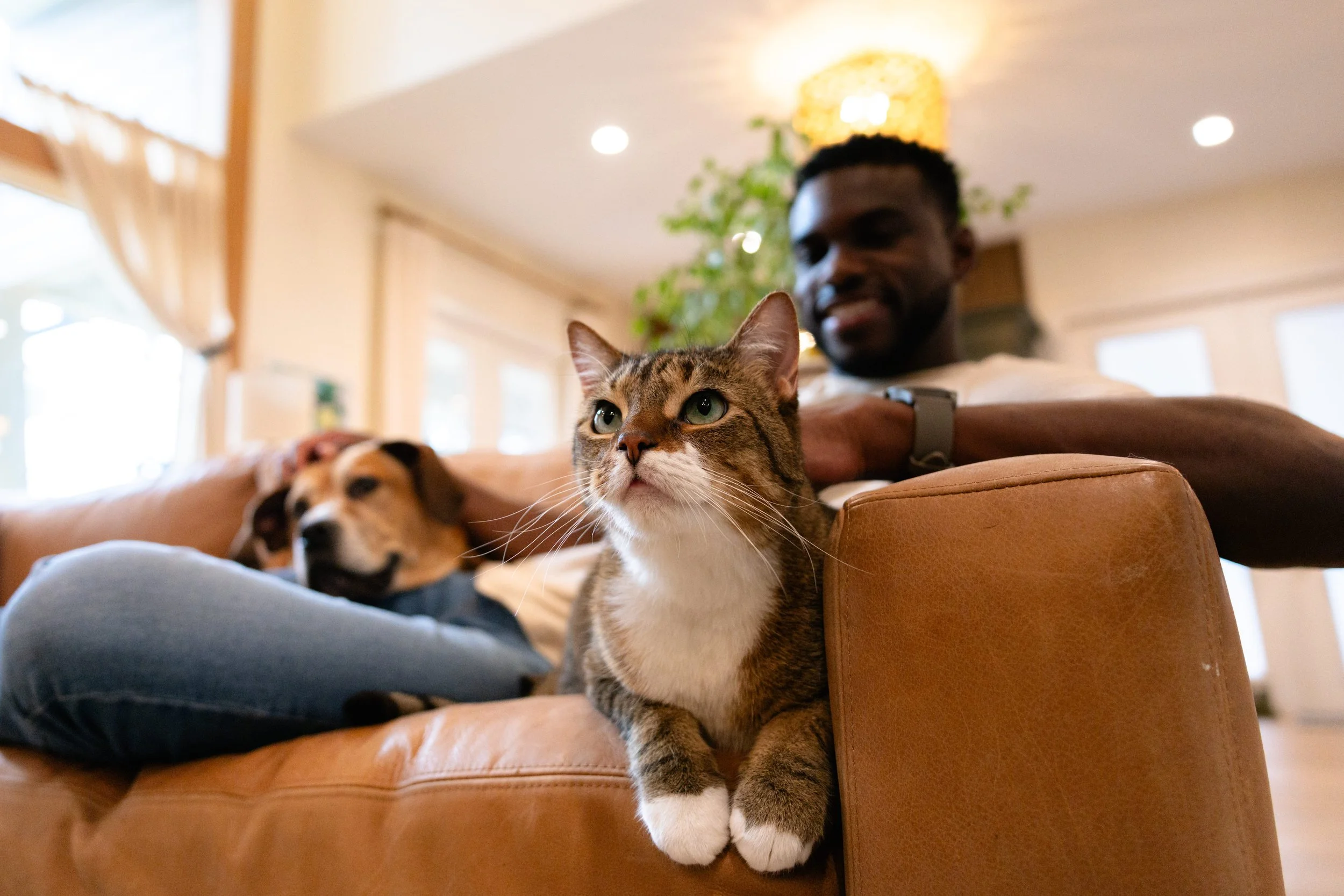 EM_PETFINDER_TAMPA-178.jpg