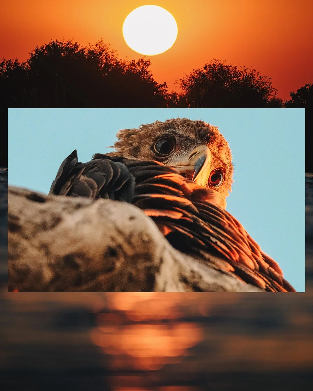 Artboard 2 copy 18.jpg