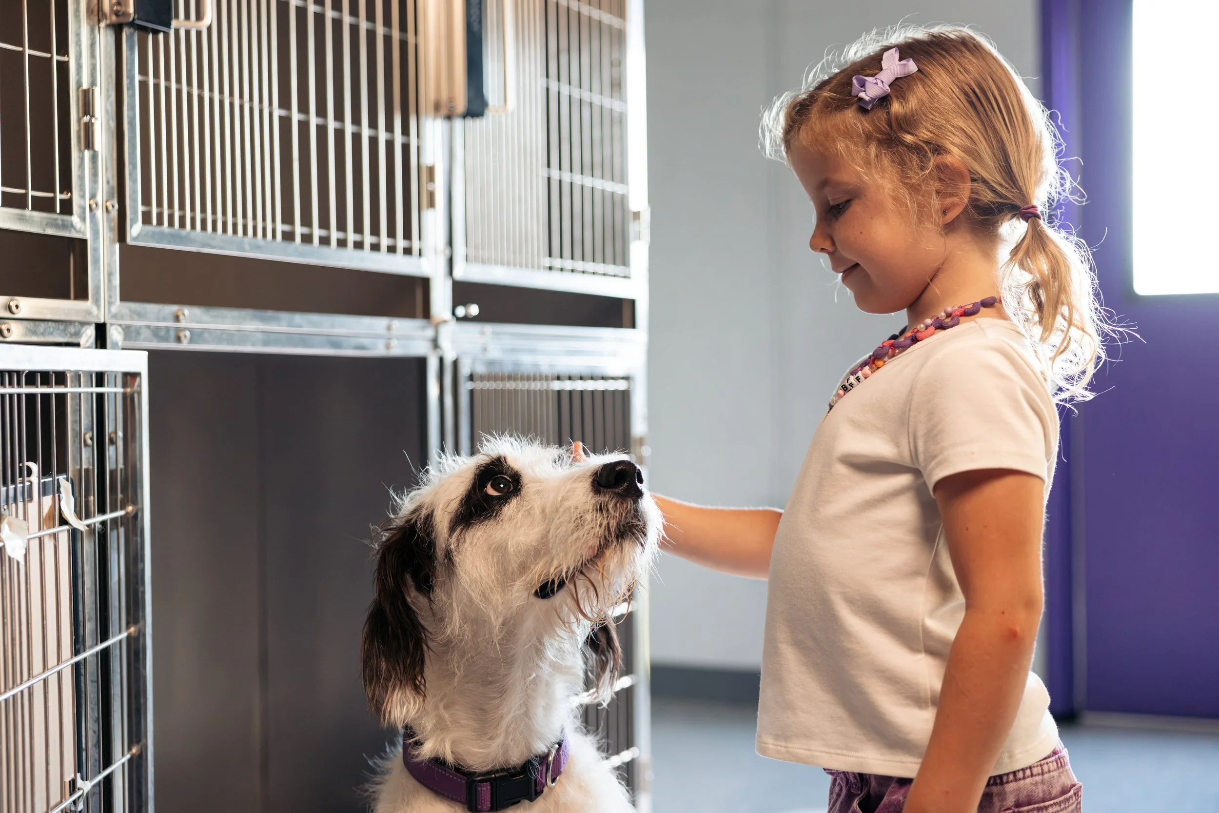 EM_PETFINDER_TAMPA-71.jpg