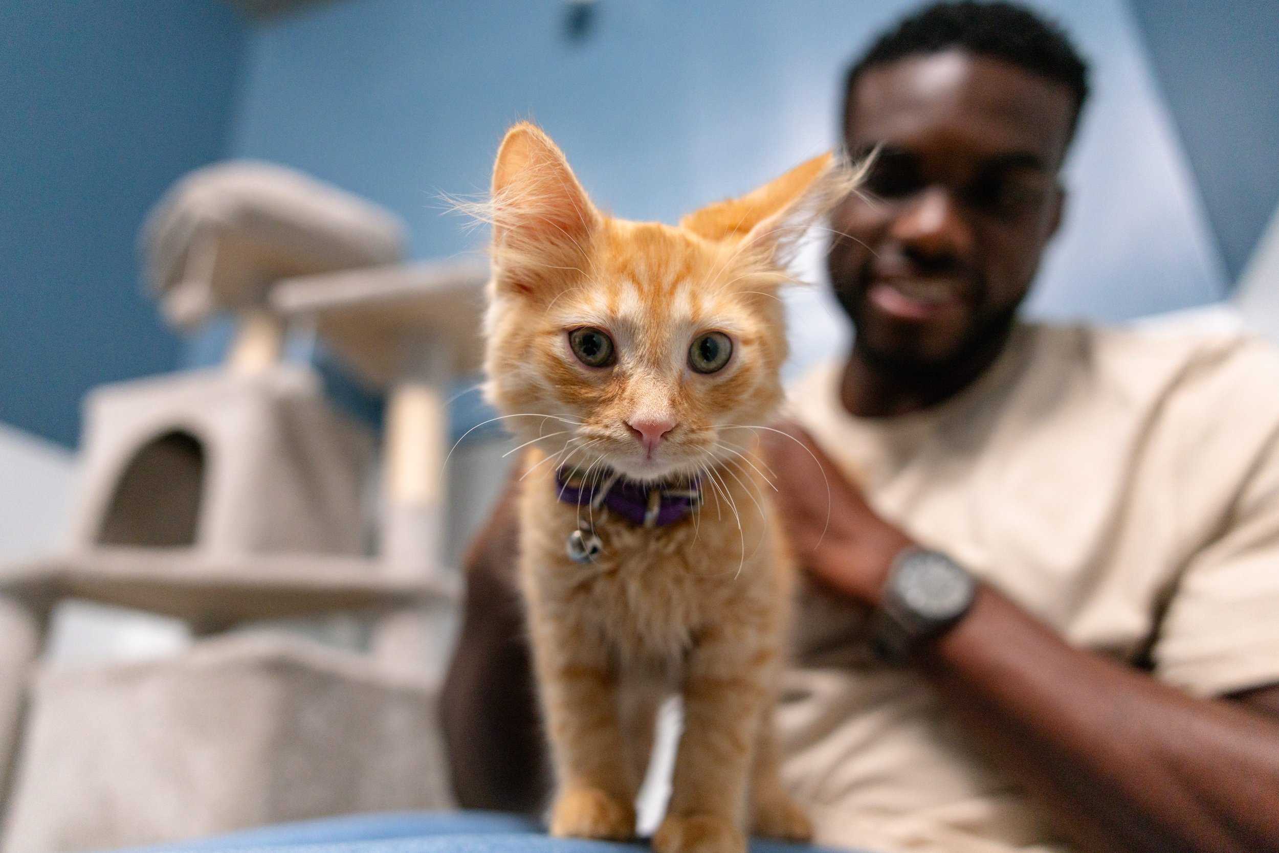 EM_PETFINDER_TAMPA-110.jpg