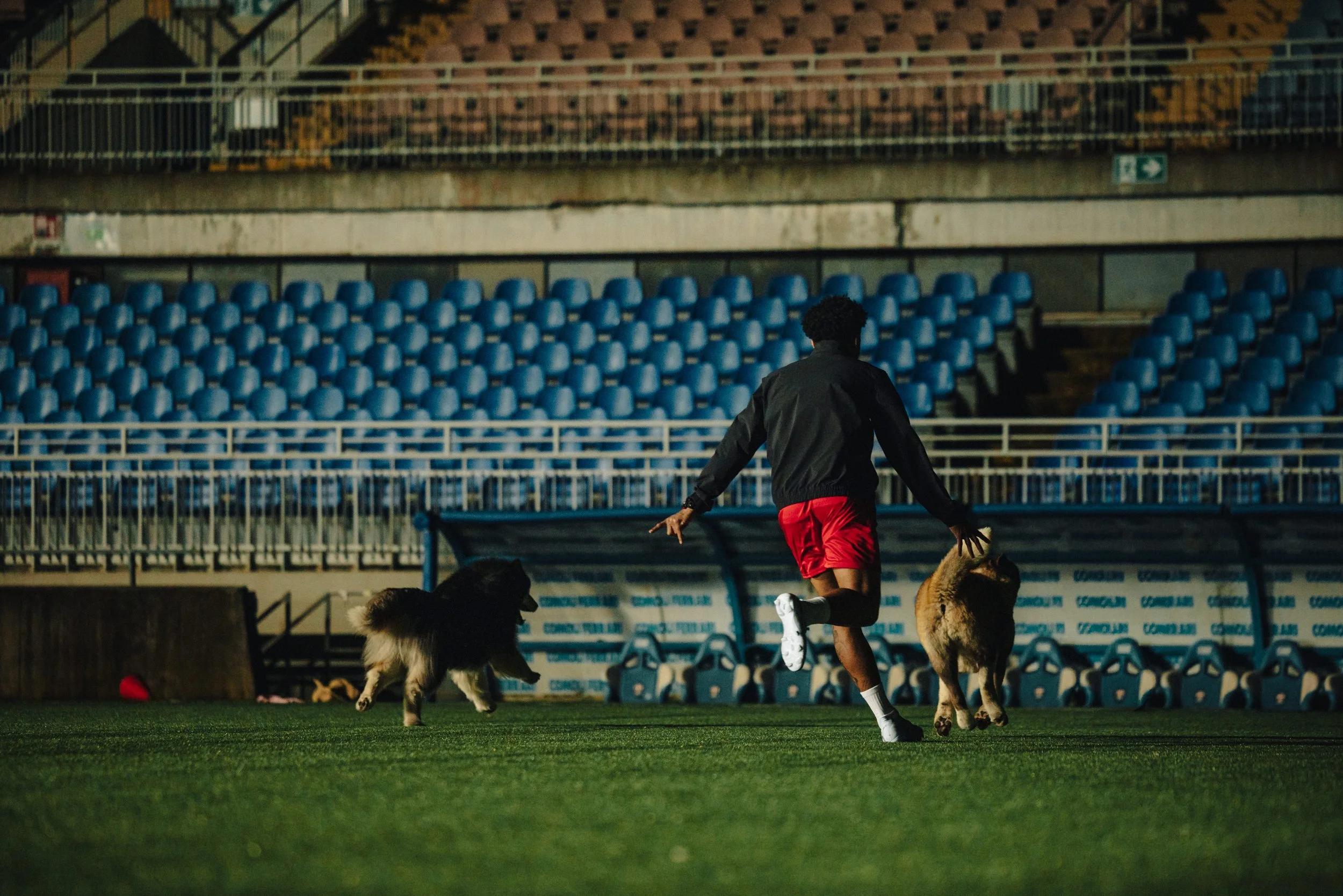 EM_PURINA_MILAN_EXPORT-201.jpg