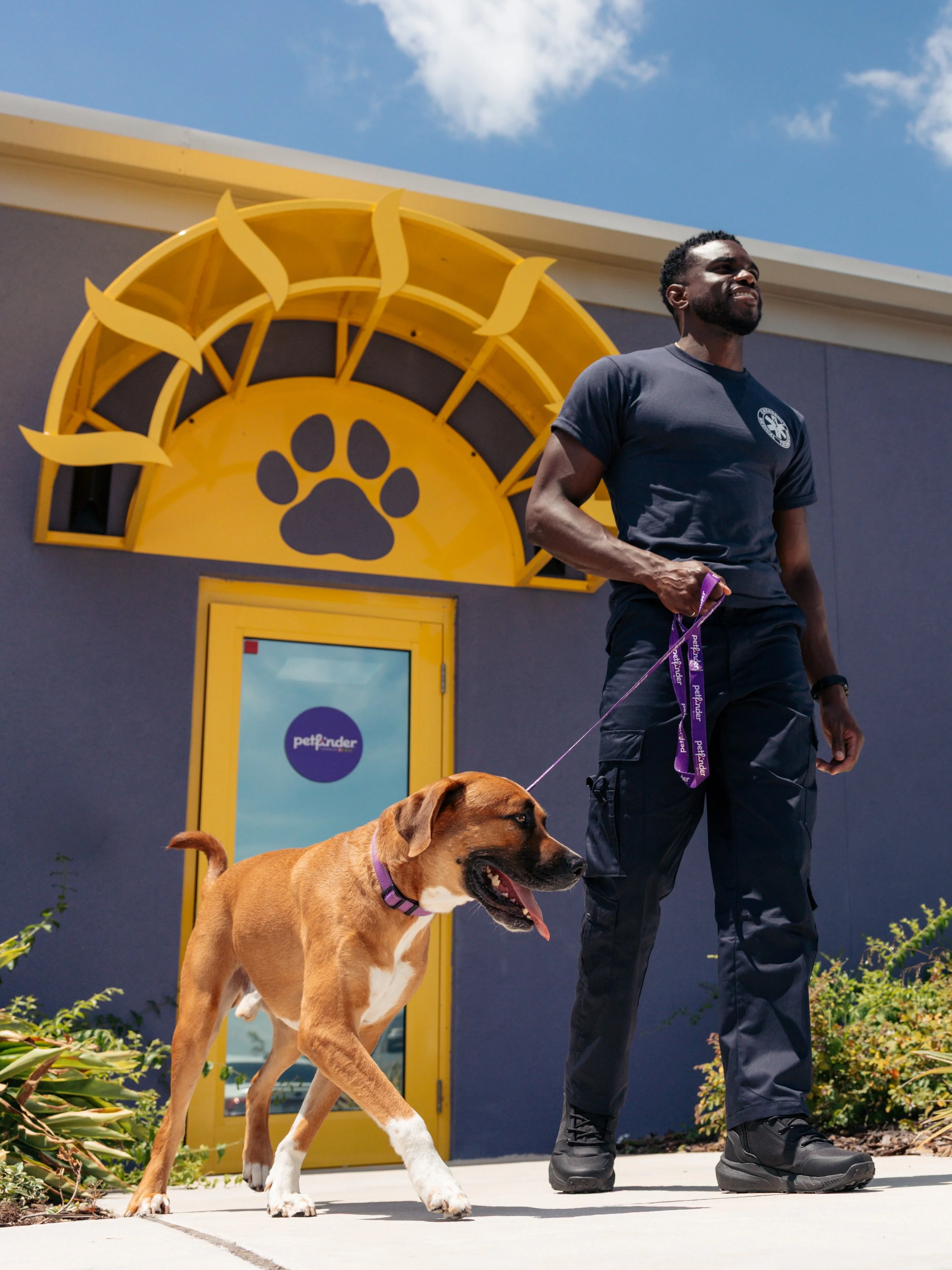 EM_PETFINDER_TAMPA-55.jpg